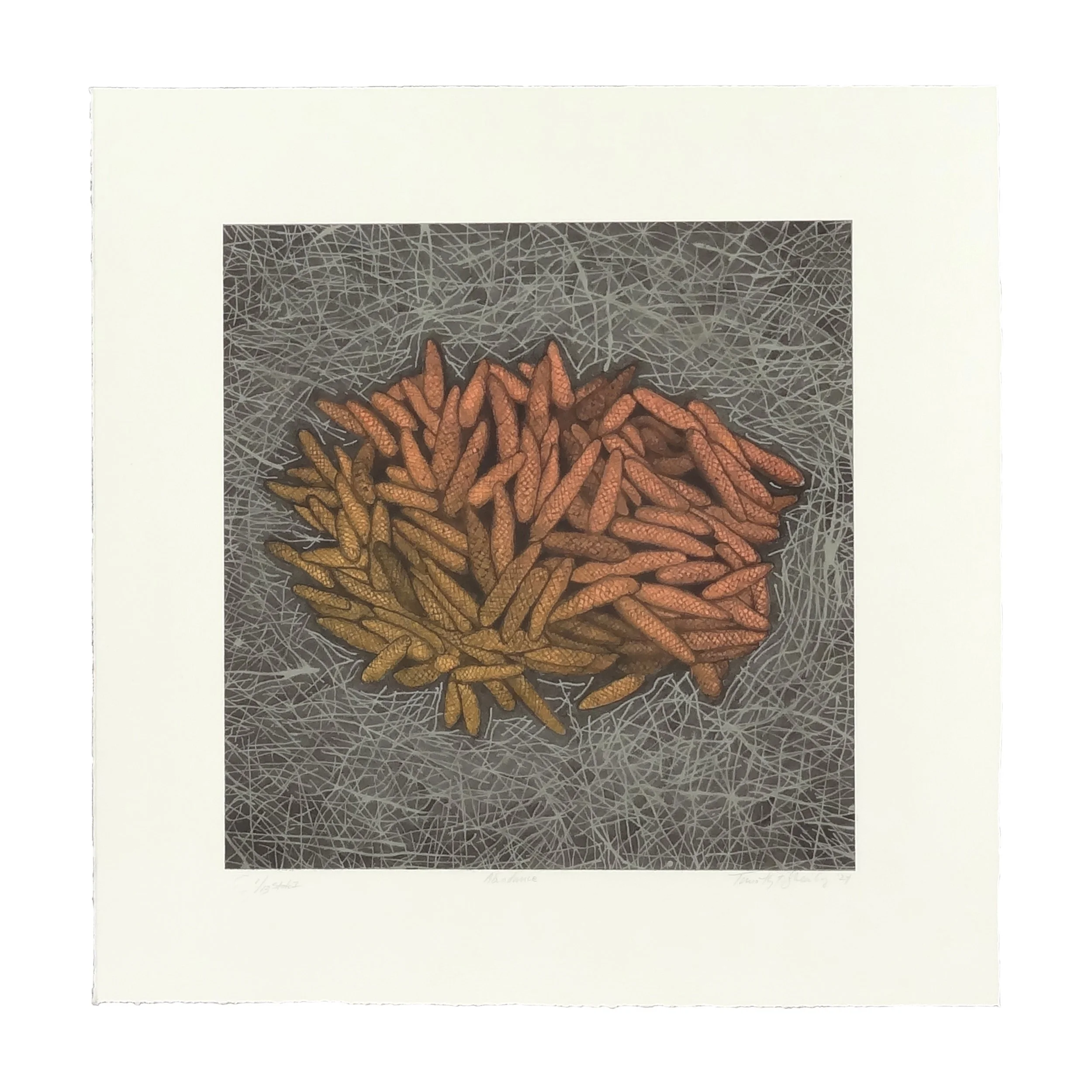 Abudance lithograph by Tim Sheesley