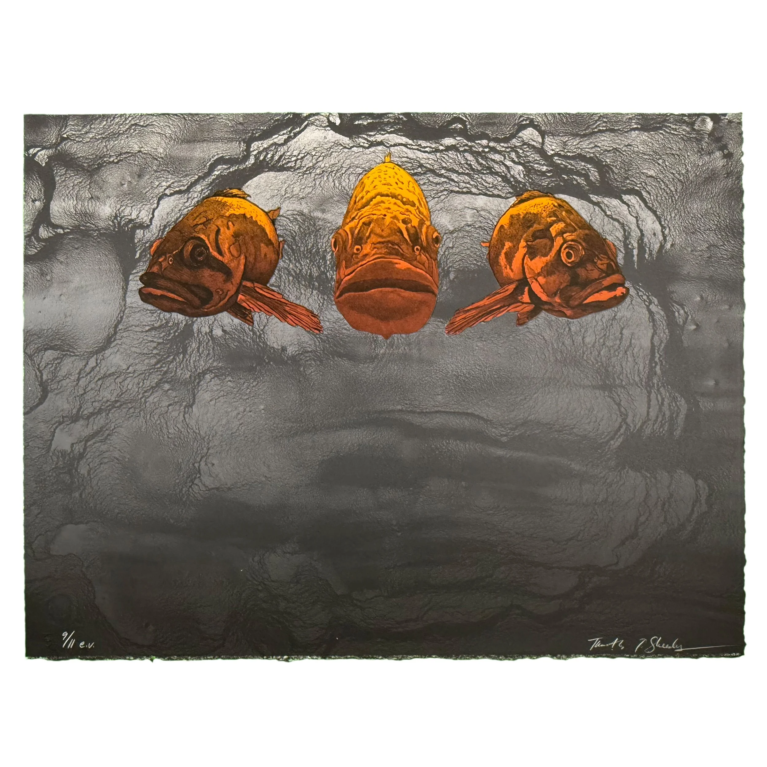 Three Fish Tim Sheesley 9.11.jpg