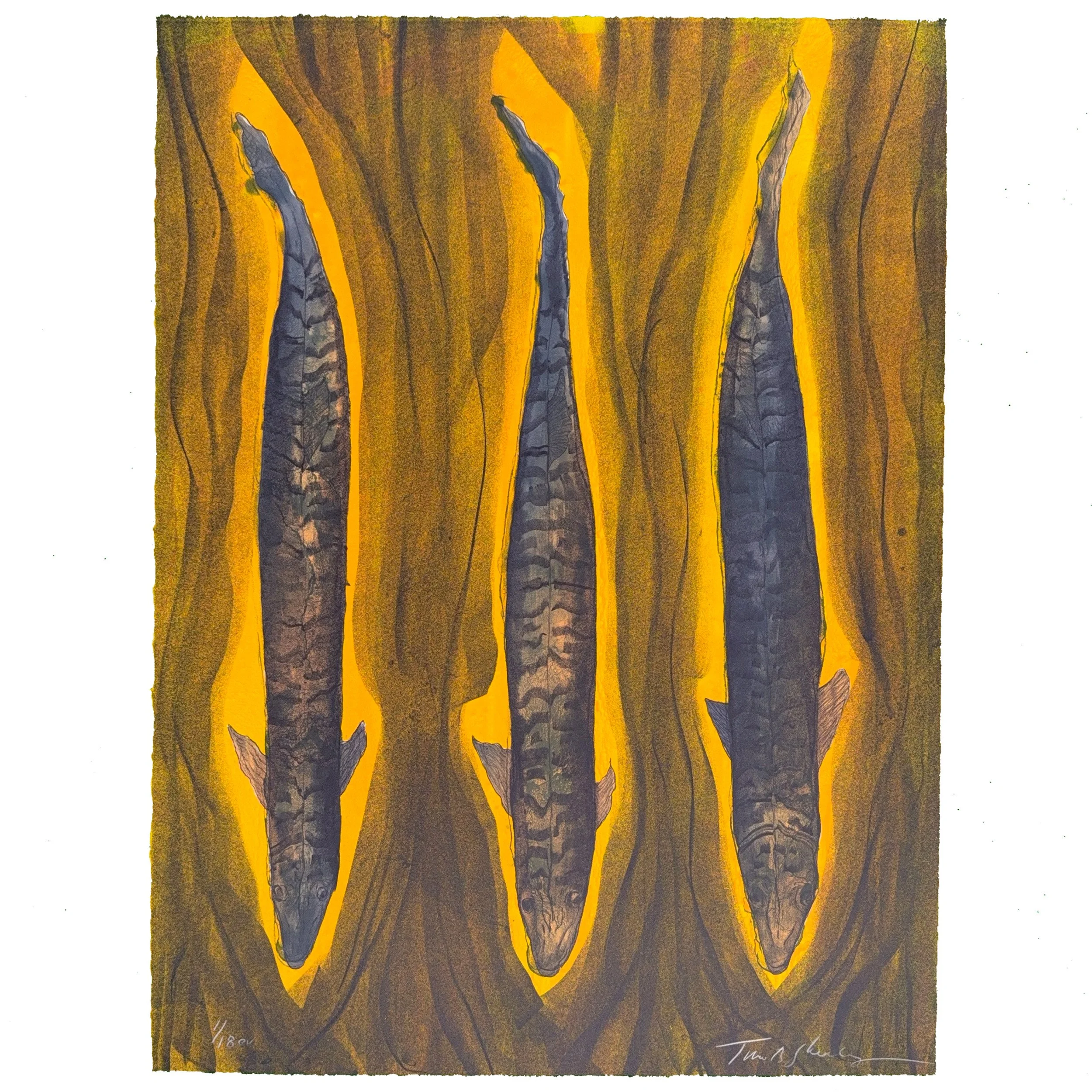 Vertical Flow 1:18ev 24x18, lithograph Tm Sheesley.jpg