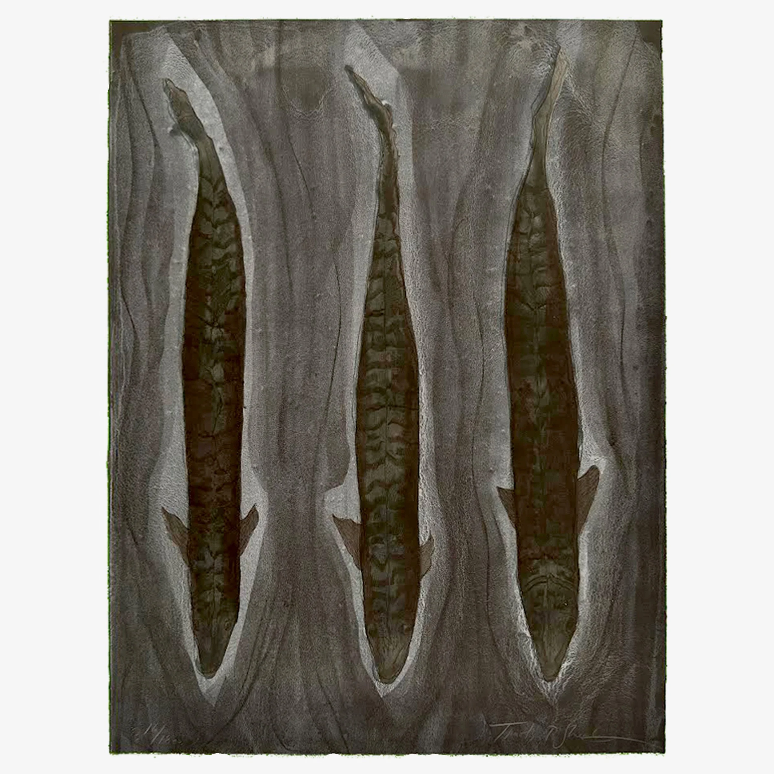 Vertical Flow 16-18ev, 24x18, lithograph Tm Sheesley.jpg