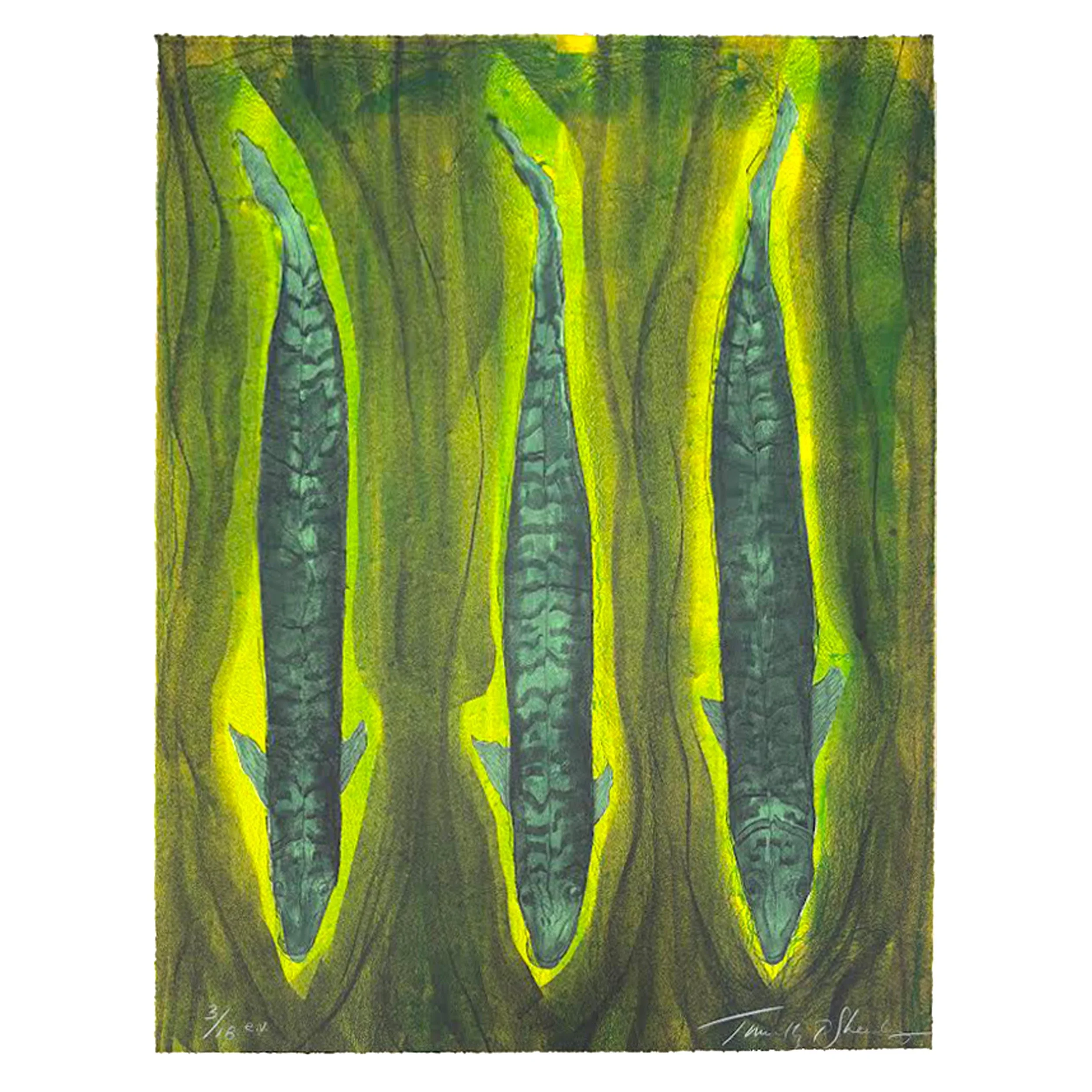 Vertical Flow 3:18ev, 24x18, lithograph Tm Sheesley.jpg