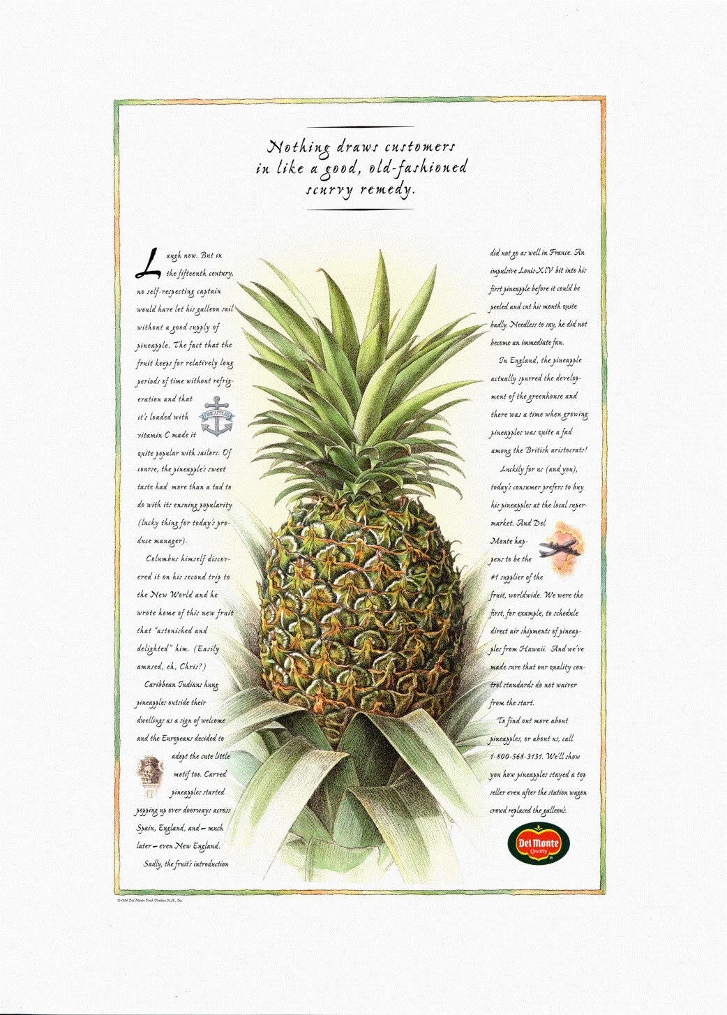 Del-Monte-2.jpg