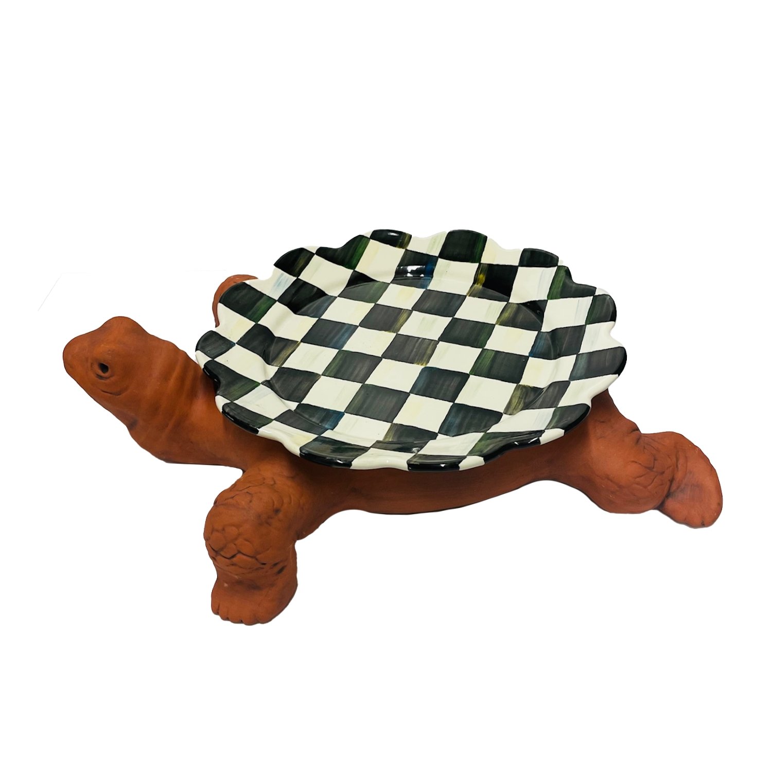 turtle plate shell.jpg