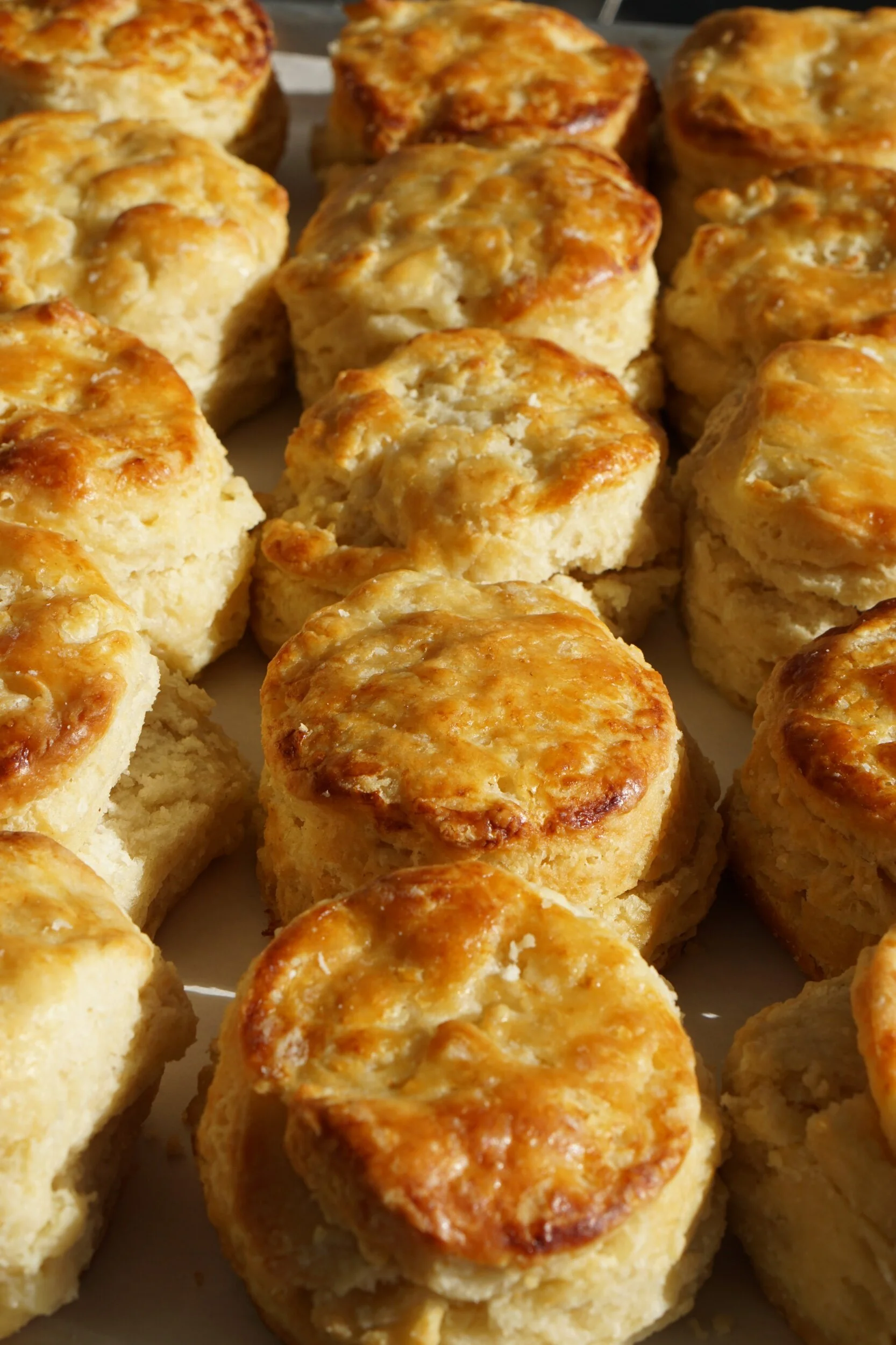 E48BEC80-24E7-4C6A-8C0E-84A0F16BECB7