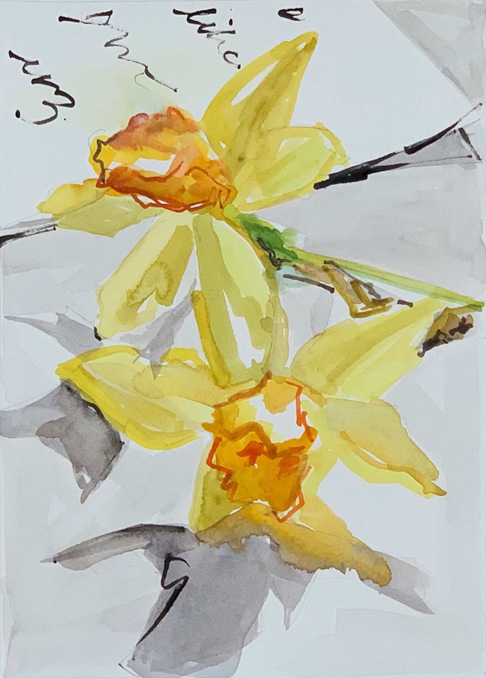 Jo Harrison, sumi ink with watercolor on hot press paper, 7x9.5