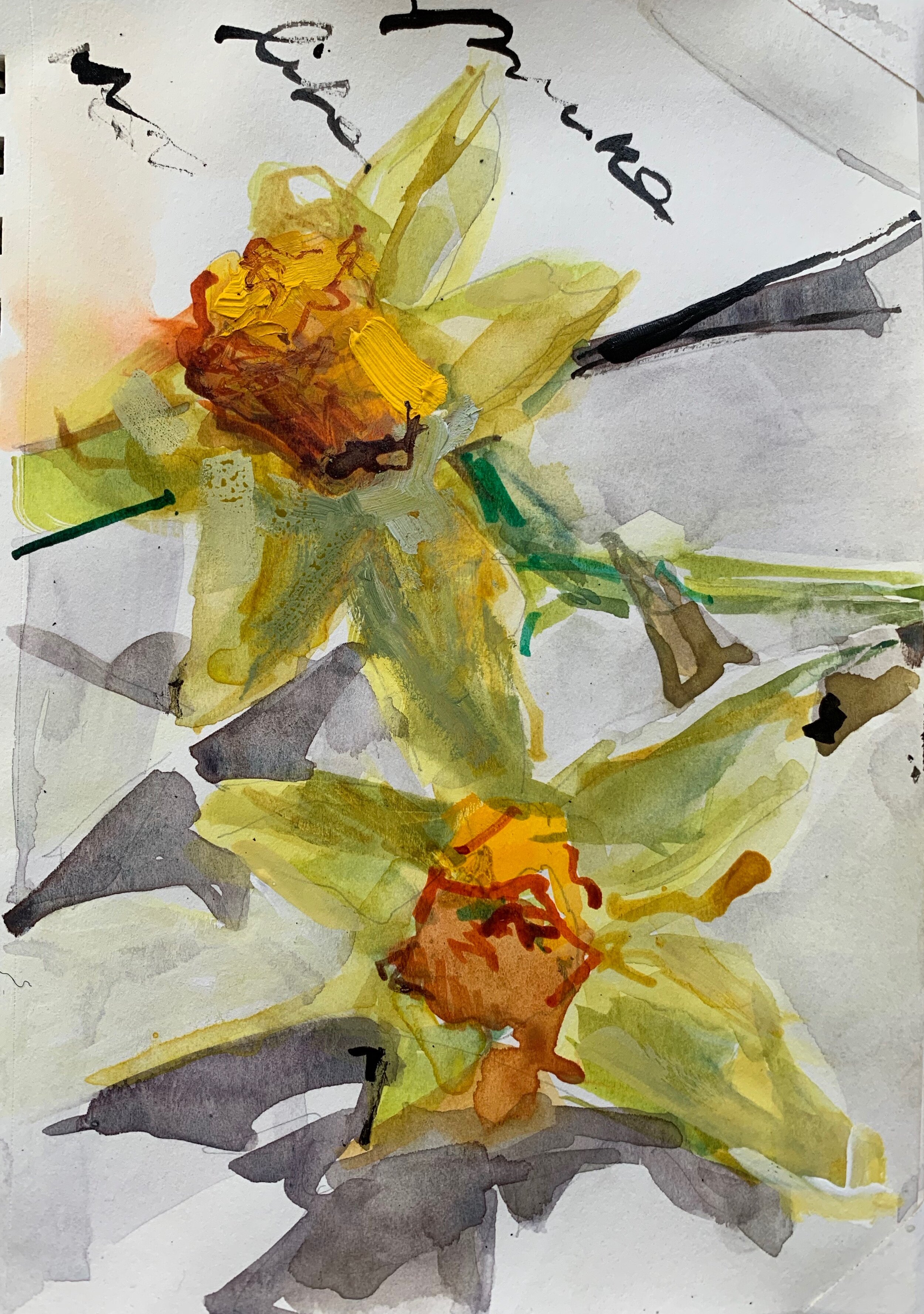 Jo Harrison, sumi ink with watercolor on hot press paper, 7x5
