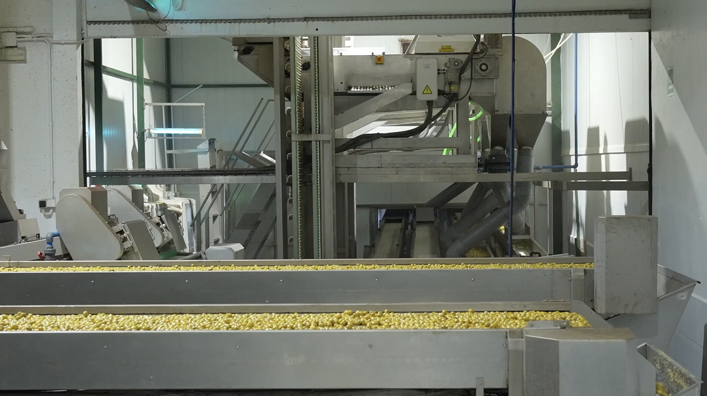 Multiscan - Producto S30