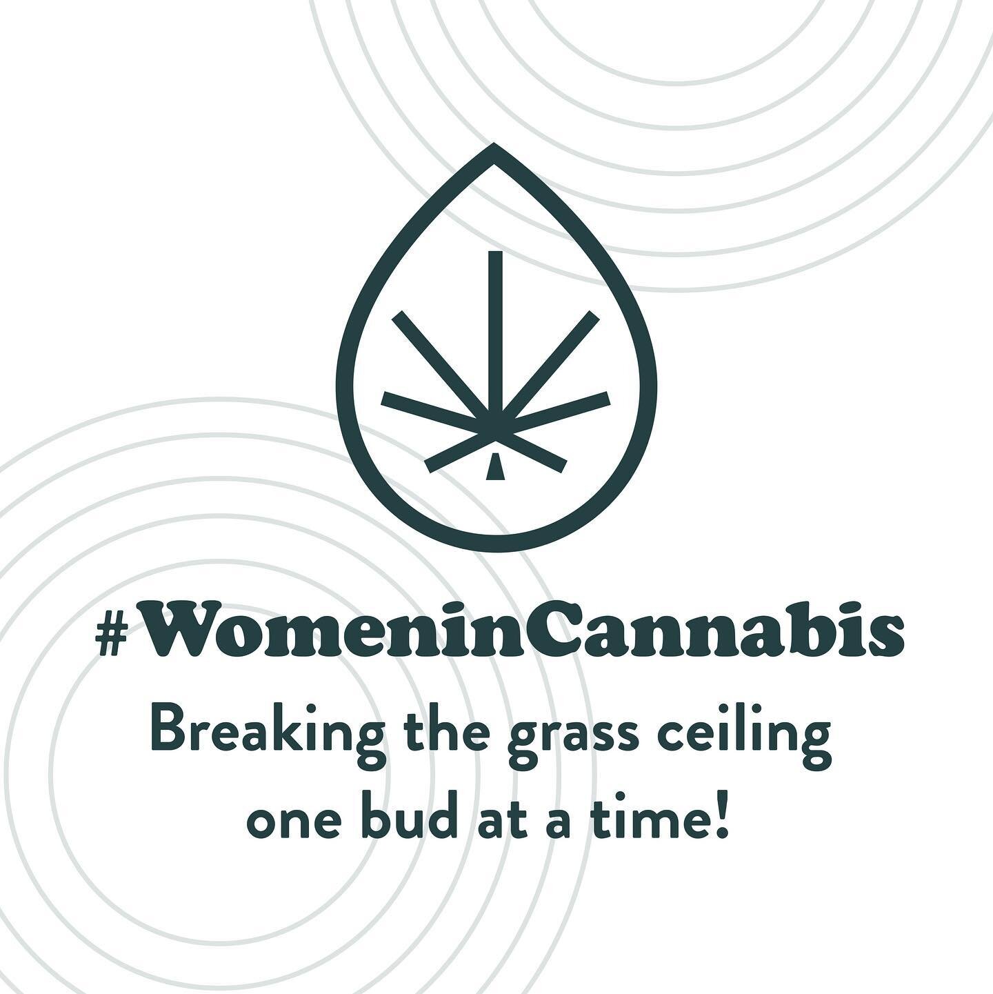 We&rsquo;re proud to have worked with some #bosswomen who are breaking the glass ceiling one bud at a time. 🌿

Do you know a #womanincannabis? Tag her down below! 👇

#boss #canna #smallbusiness #houston #hemp #entrepreneur #womenempowerment #womeni