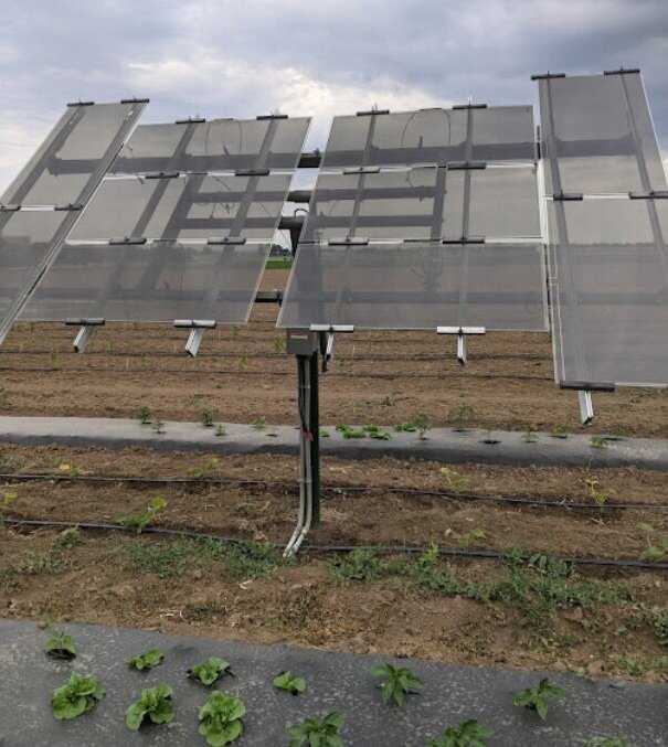 Screen Shot 2021-08-05 at 4.15.19 PM.png