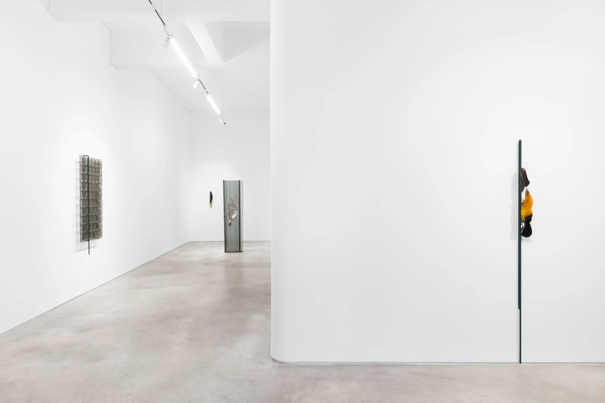 * Wandering moths, Galeria Madragoa, Lisbon, 2025-2026