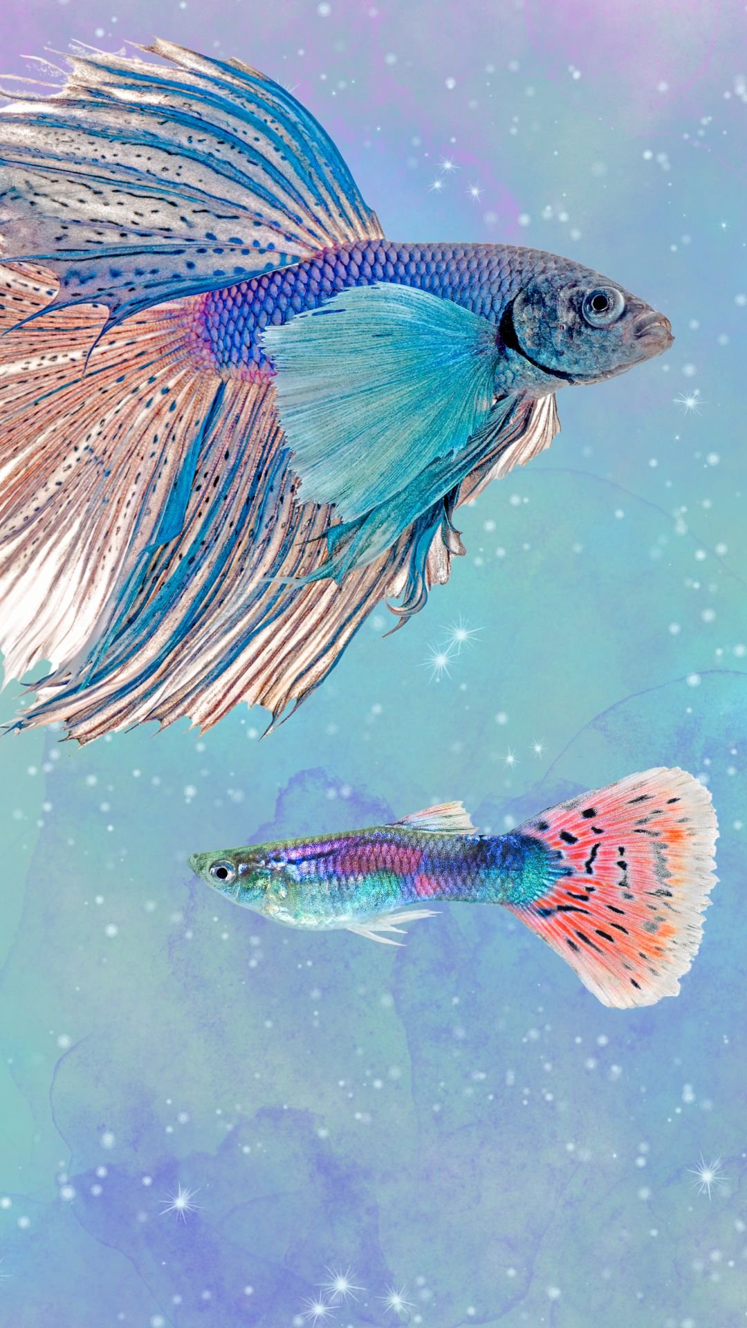 Untitled design-5.jpg