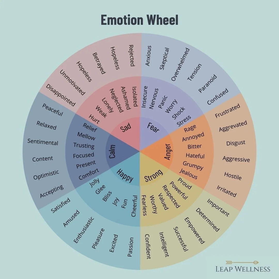 Embrace Emotional Awareness: The Power of the Emotion Wheel for Children &amp; Teens 

Introducing an emotion wheel in your home can be transformative for young minds. Here's why:

1️⃣ Emotion Recognition: Helps kids and teens identify and label thei