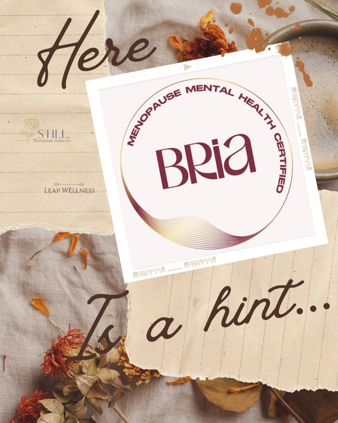 Something new is coming&hellip;

We ( @still.pathways &amp; @leap.wellness) have been working quietly behind the scenes to make it official. 

Here&rsquo;s a hint&hellip;
Specialized training.
Elevated support.
Next-level care for women navigating pe