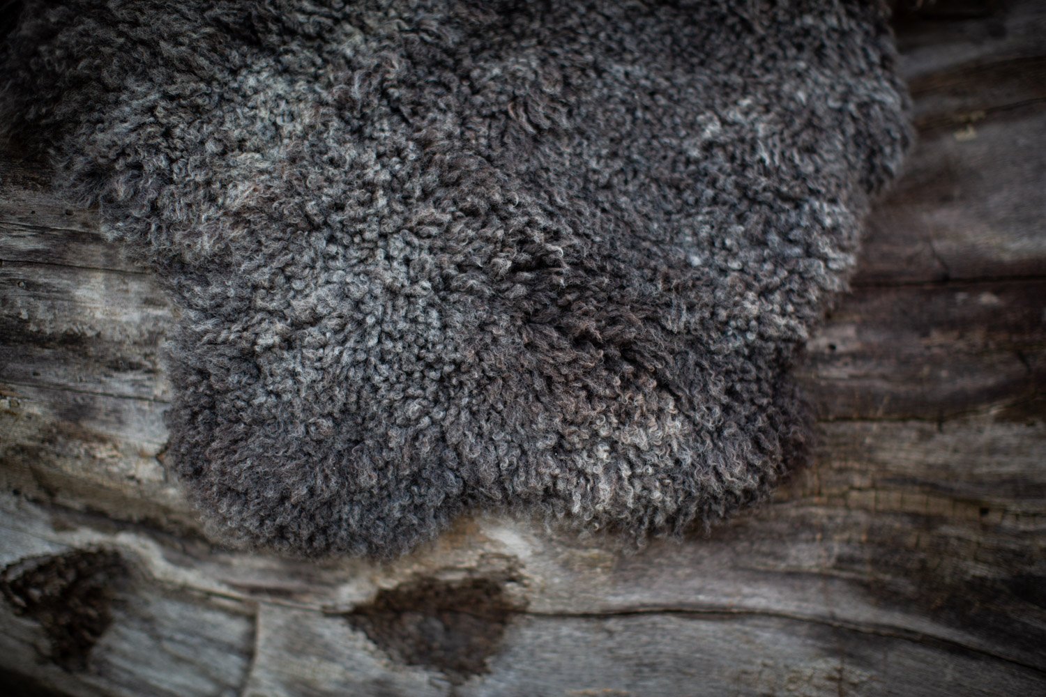 flint-7web.jpg