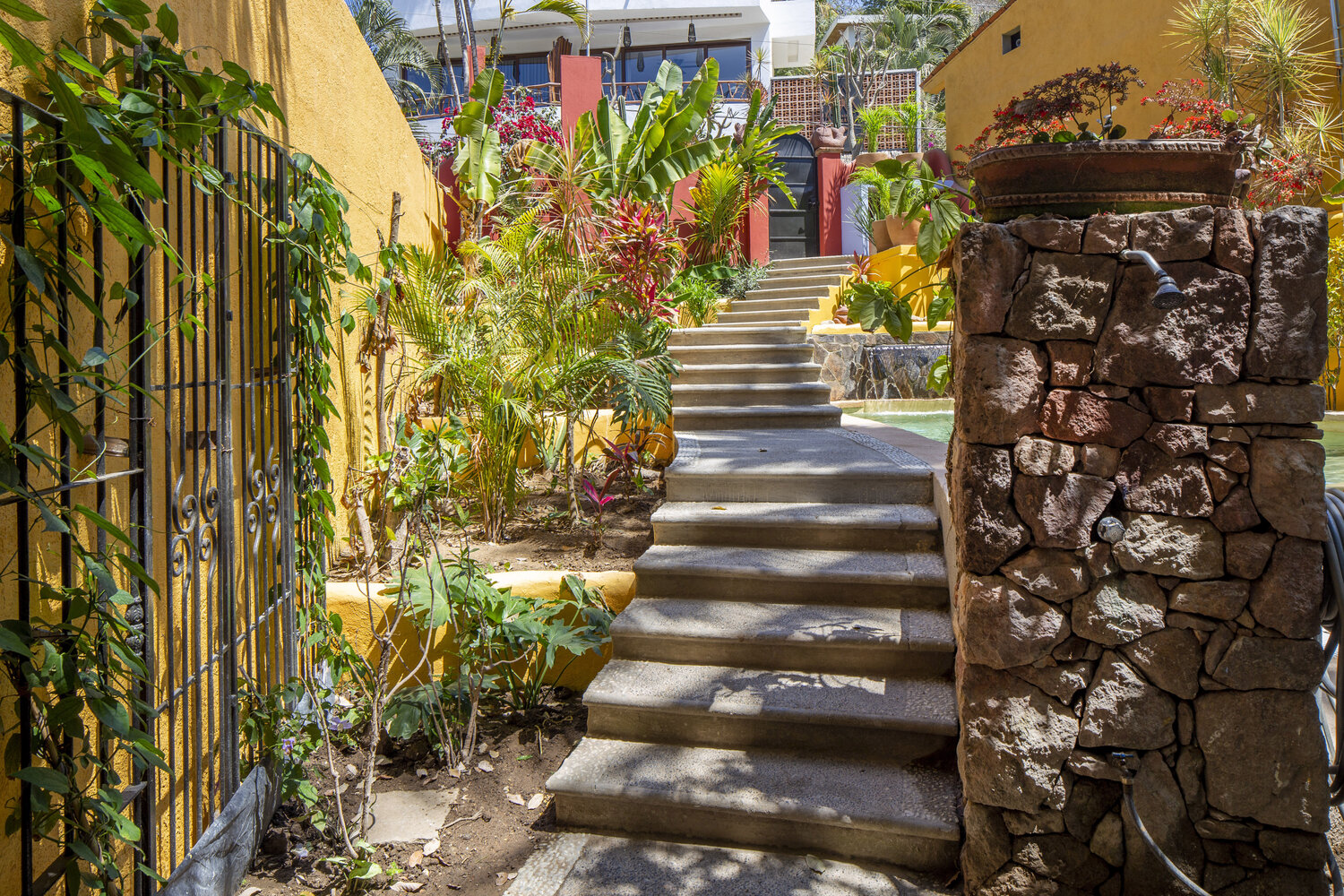 The locals at Casa Duende Vista - Picture of Casa Duende Vista, Sayulita -  Tripadvisor