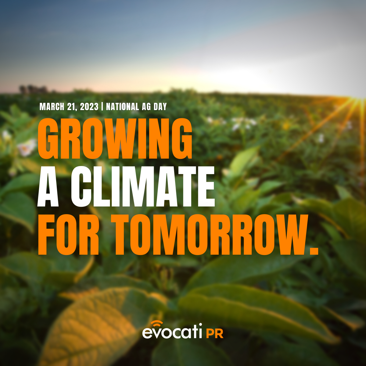 National Agriculture Day - A Day to Celebrate the Plethora Provided by Agriculture