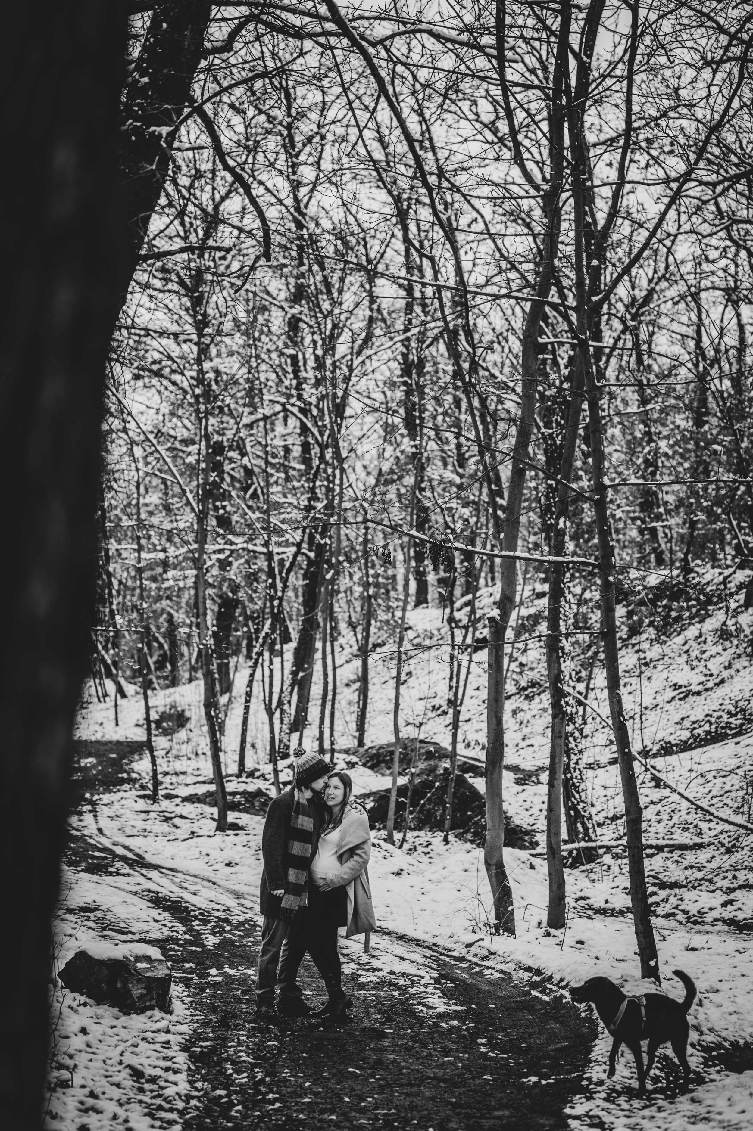 DSC_6561.jpg