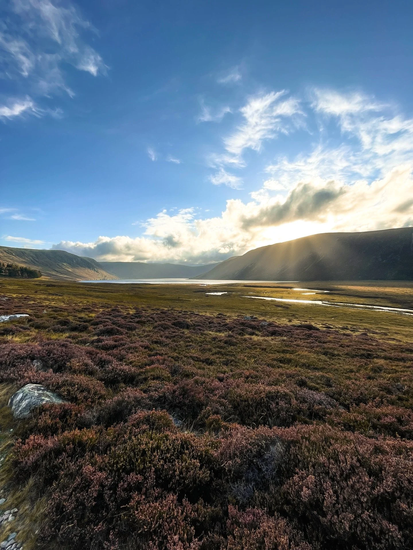 Autumn in the Cairngorms. Just a few moments from recent times, out and about and gathering inspiration for my paintings from the gorgeous light and colour at this time of year 🍂 

#cairngorms #cairngormsnationalpark #autumn #pleinair #scottishautum
