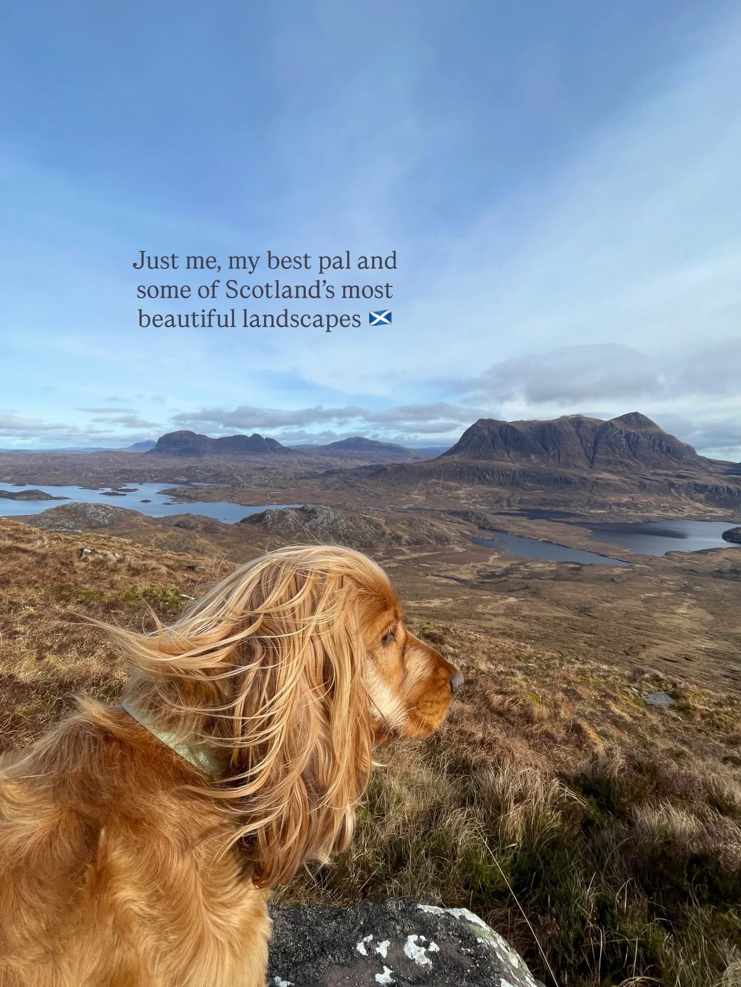 Some of the landscapes that have inspired my paintings this year. The Cairngorms, the west and the east coast. Lots of trips with my wee best pal, all making their way into my work recently. 🐾 

#spanielsofinstagram #scotland #scottishartist #spanie