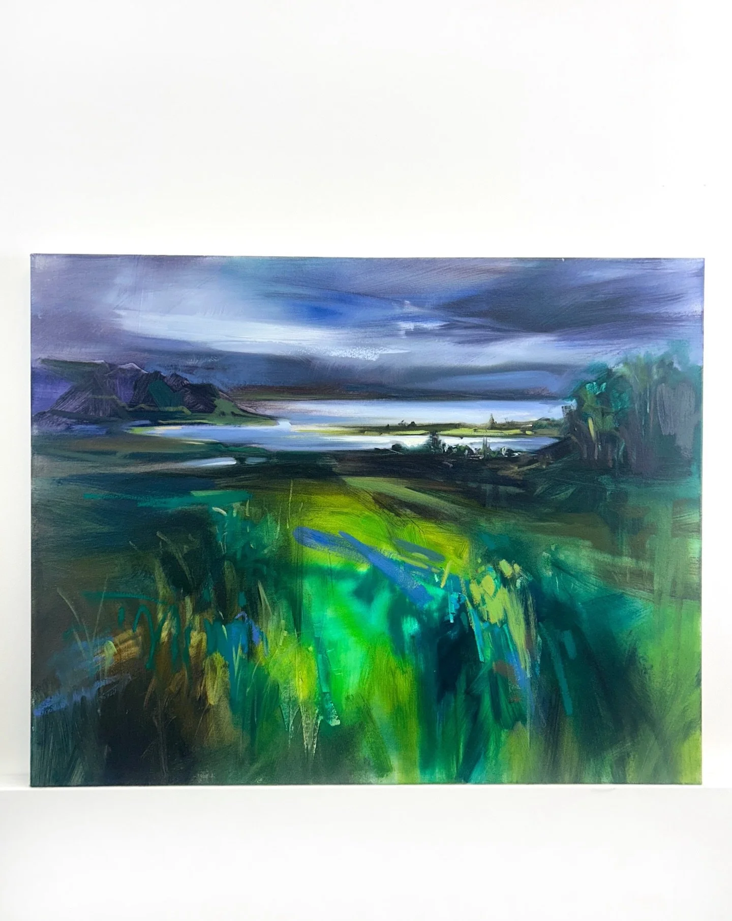 A few of my paintings which are currently available through the @braemar_gallery ✨ 

I dropped off a selection of paintings last week, including these three. The gallery is beautiful, open every day and they can send paintings out to you if you don&r