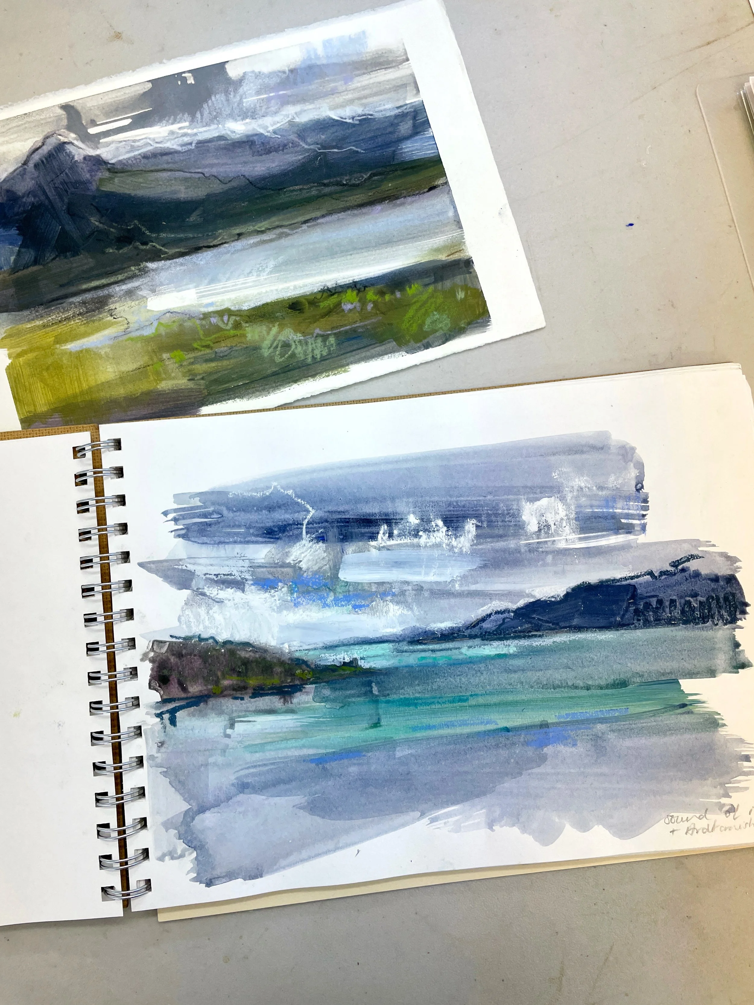 Sketchbook pages, mixed media