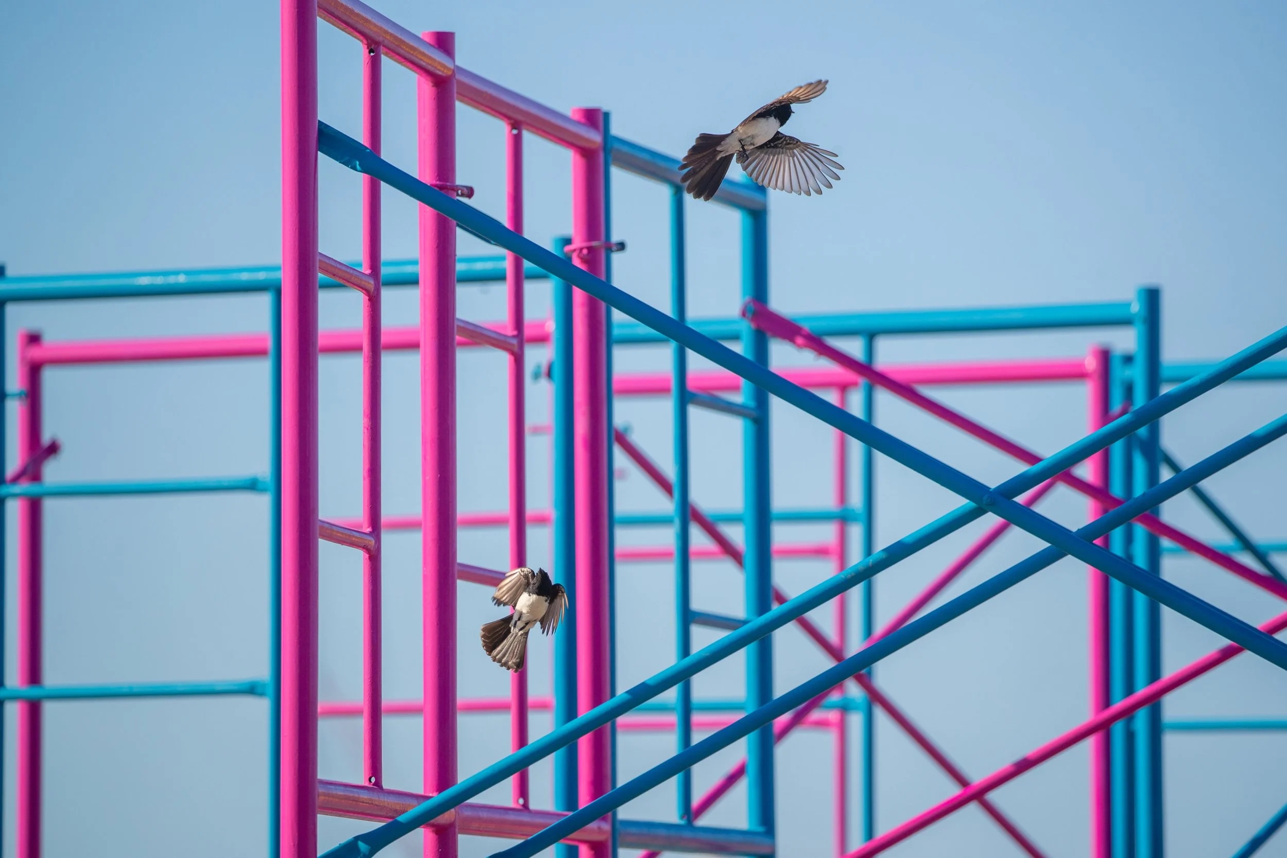 ProfessorAvantikaBawa_ScaffoldsbytheSea_SxSBondi2024_CharlotteCurd (2) copy.JPG