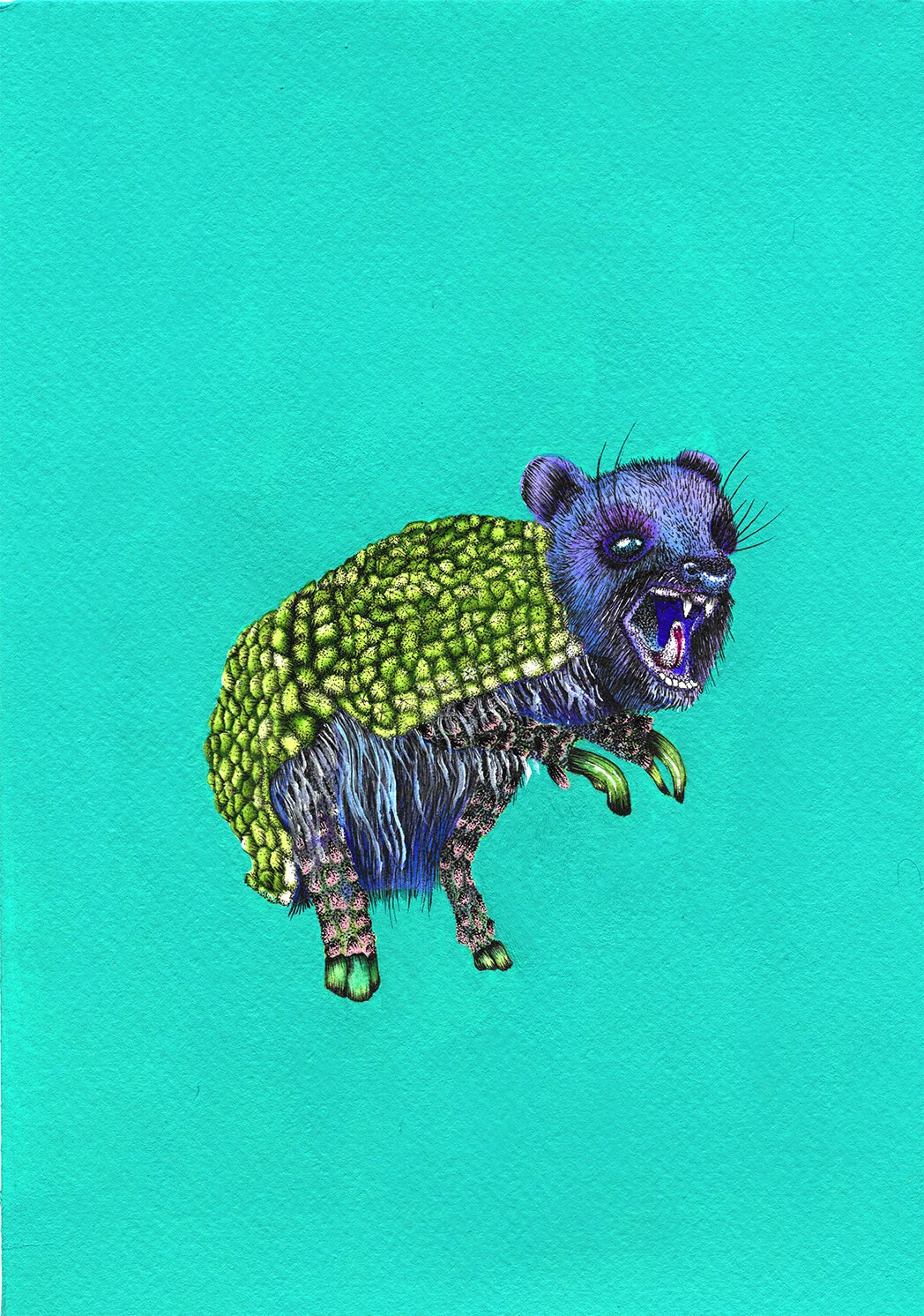 Hyraxadillo.jpg