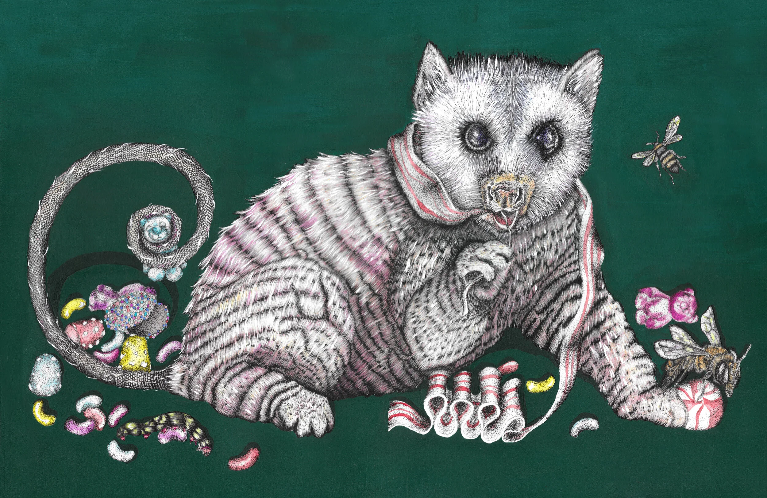 Possum Kitty Scan 330 dpi.jpg