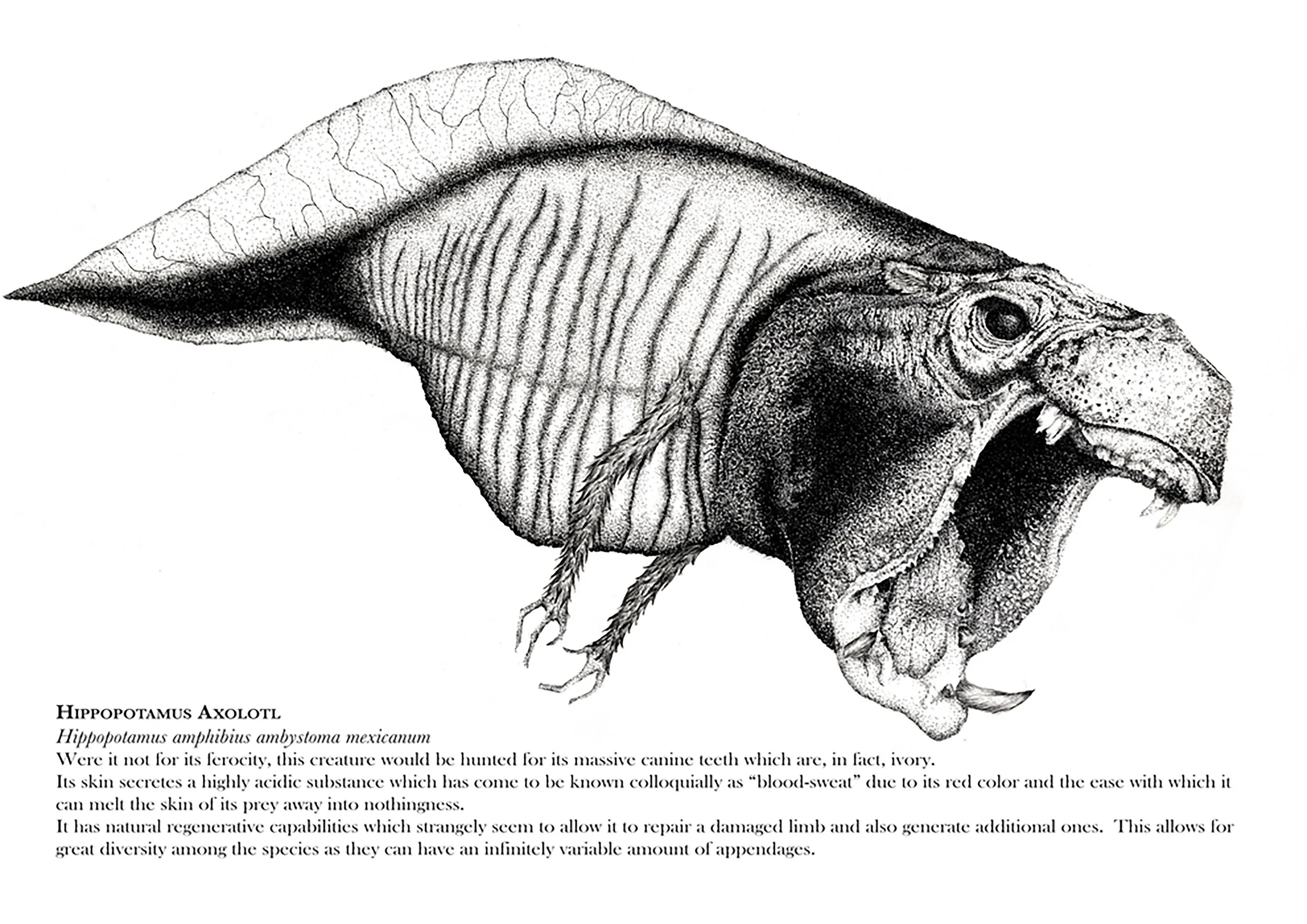 32+hippo+combined.jpg