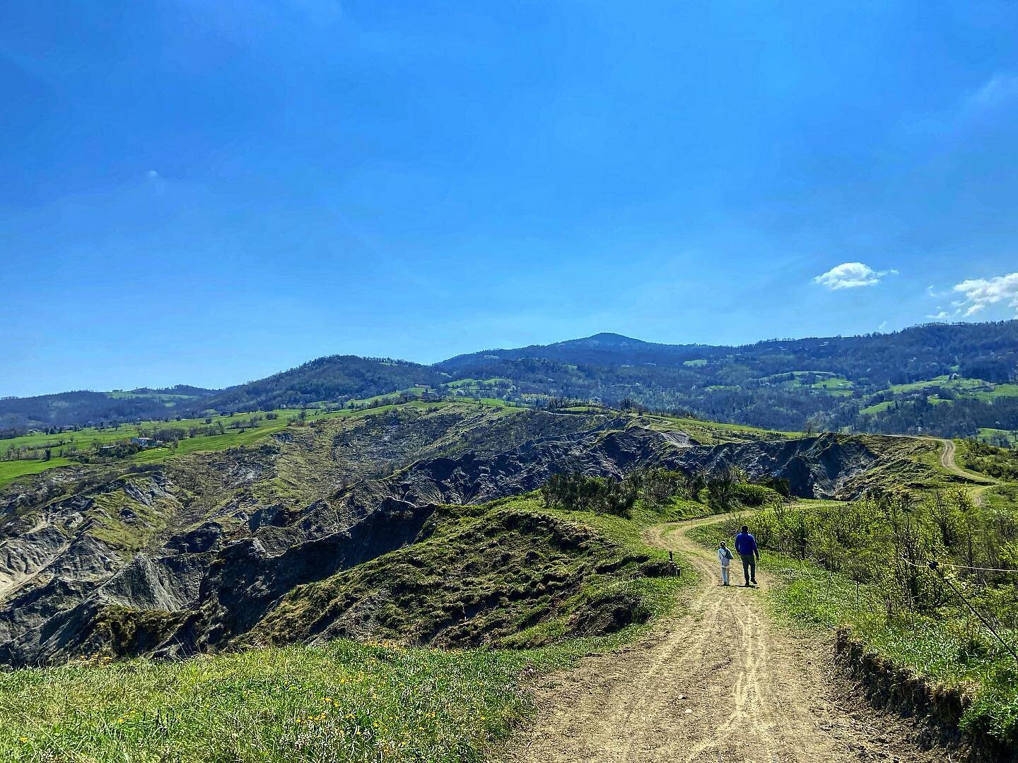 Gullies (on the left of the pic) are landforms created by surface runoff which erodes deep into the soil, especially on the hillside. Gullies are formed through a process of gullying or gully erosion. Gully erosion is one of the four main types of er