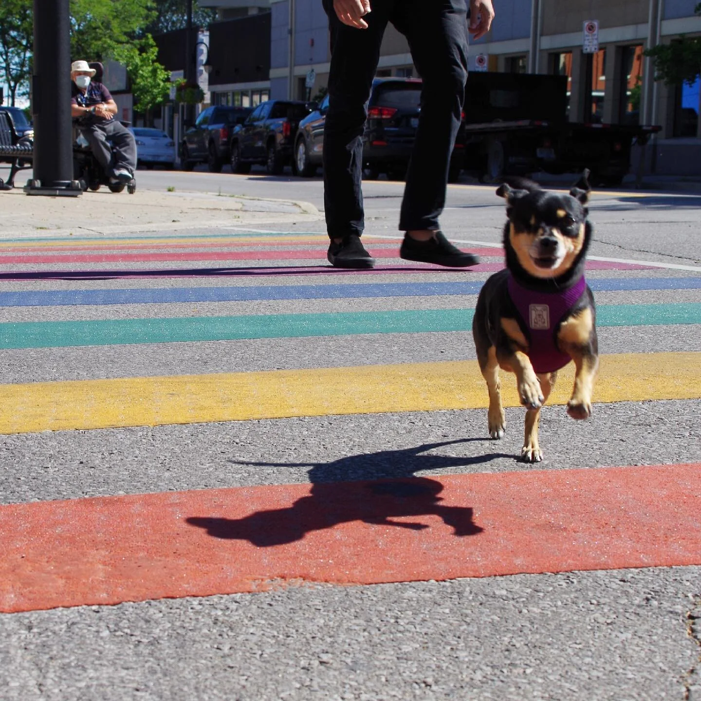 Winky is here to remind you that this is the last week of Pride Month! 🏳️&zwj;🌈 Did you know that:
&bull; LGBT homeownership rates are at 49%.
&bull; 94% in the LGBT community greatly value safety and a welcoming community when choosing a neighbour