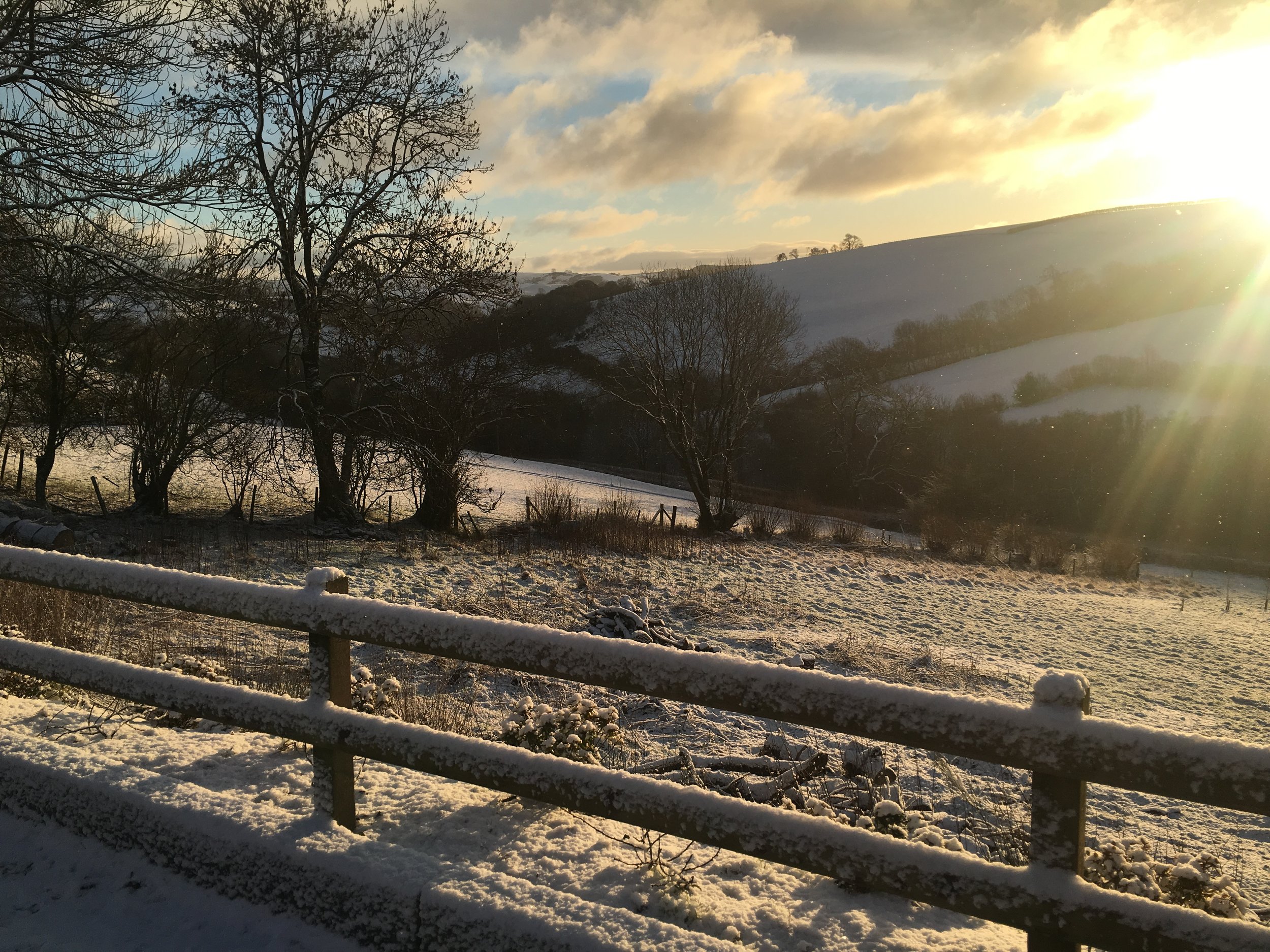 winter