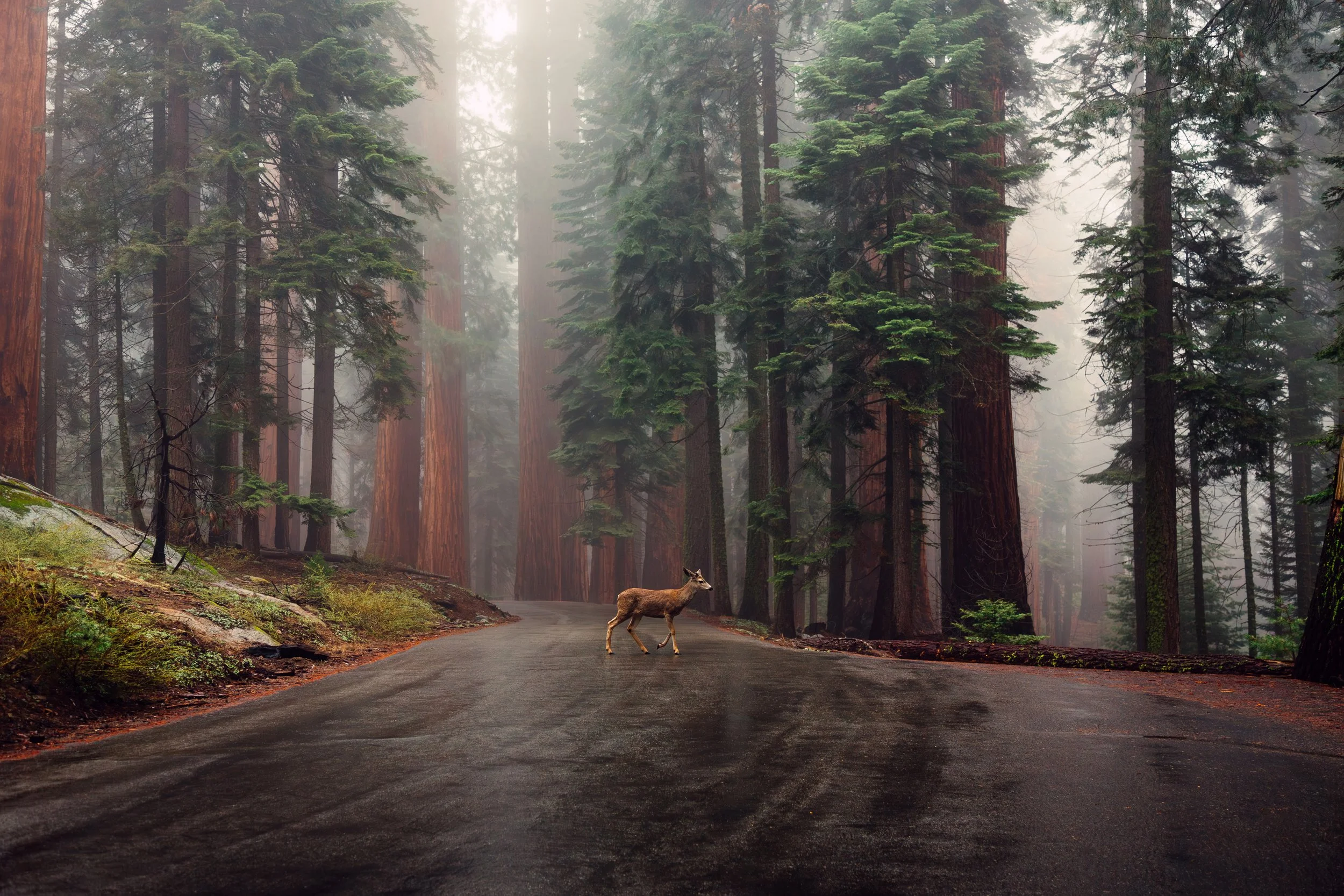 Travel and outdoor photography