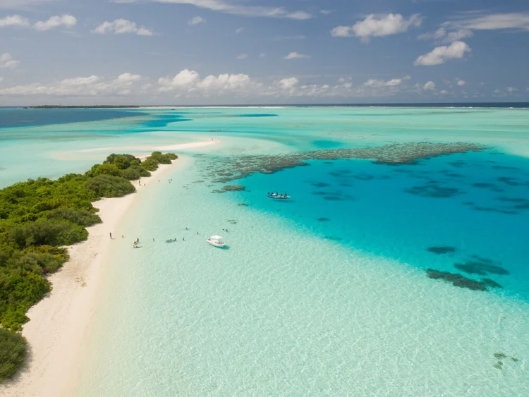 Caribbean