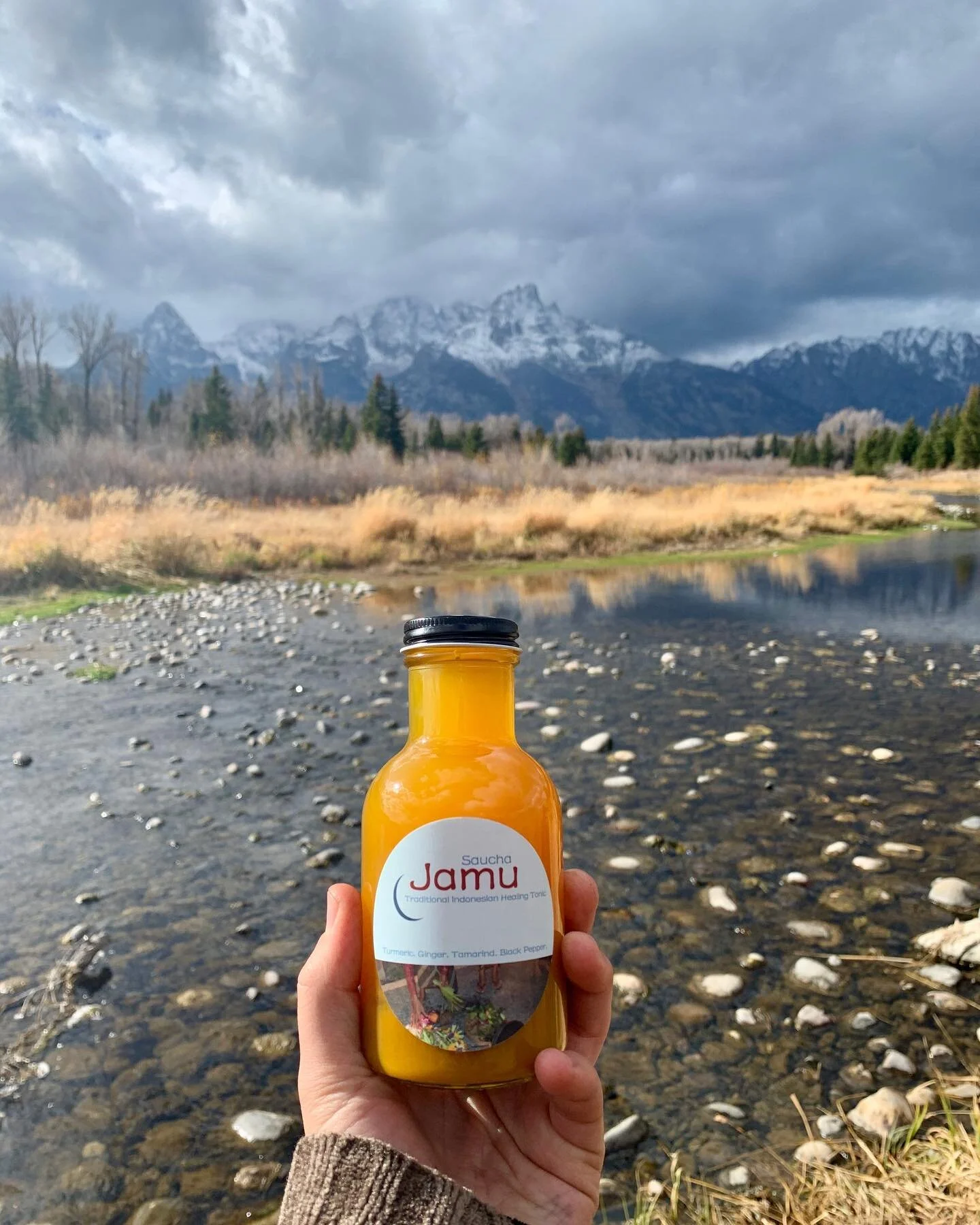 Pure intentions sprout naturally from a pure being. How do you initiate purification in your daily life?

#saucha #purity #sauchaniyama #holisticliving #pureliving #holsitichealth #turmericroot #jamu #jamuwellness #ayurvediclifestyle #yogiclifestyle