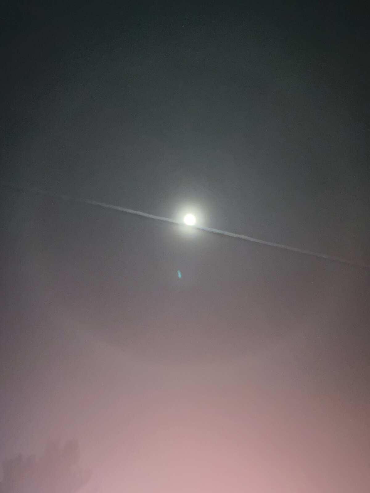 FEBRUARY 2020: SKY SIGNS