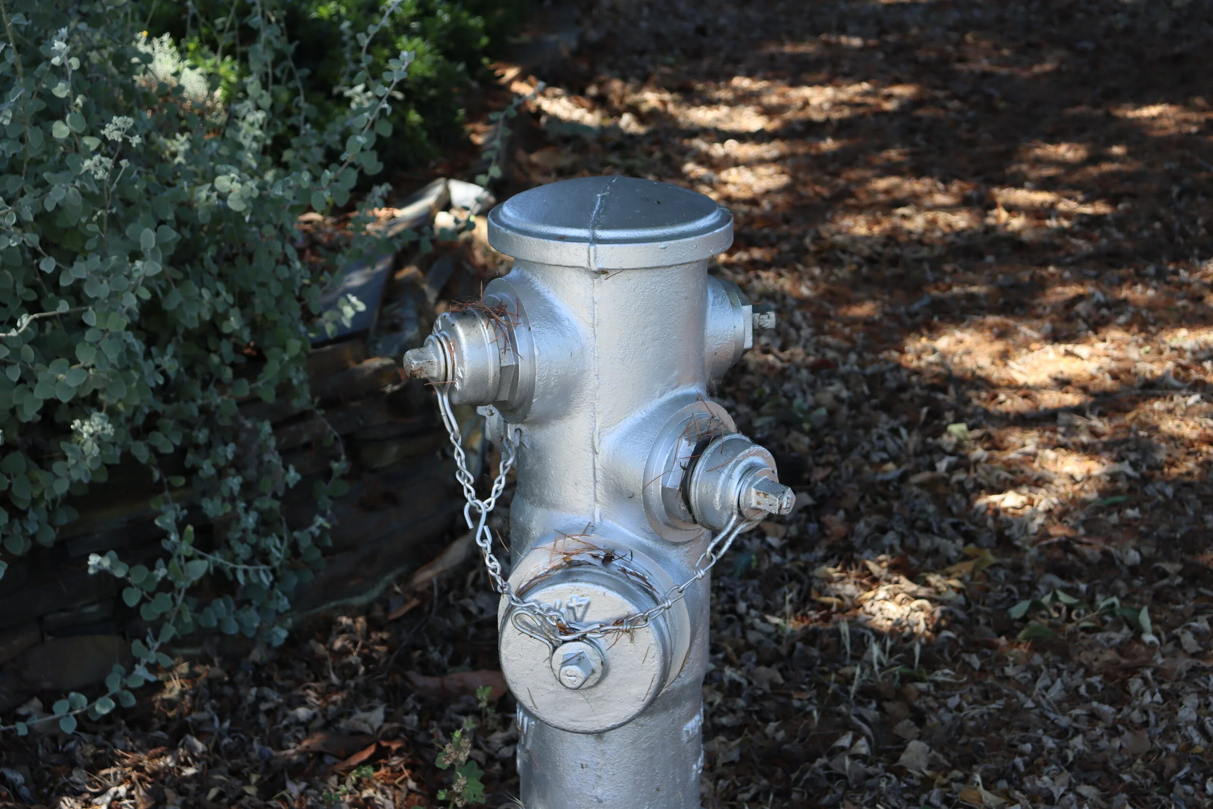 JUNE 2020: JUST KEEP SWIMMING