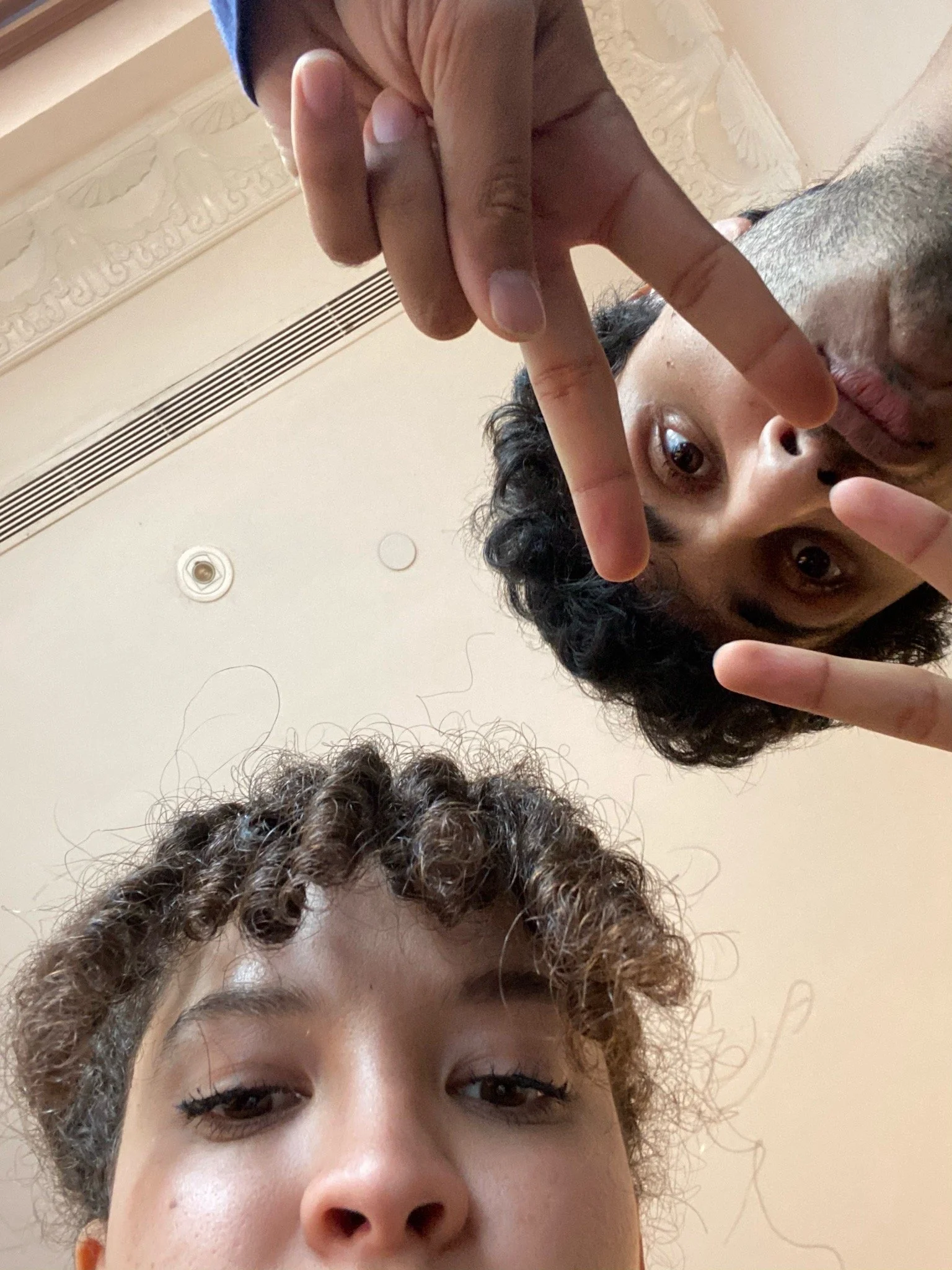 OCTOBER 2021: FLORIDA FOREHEADS