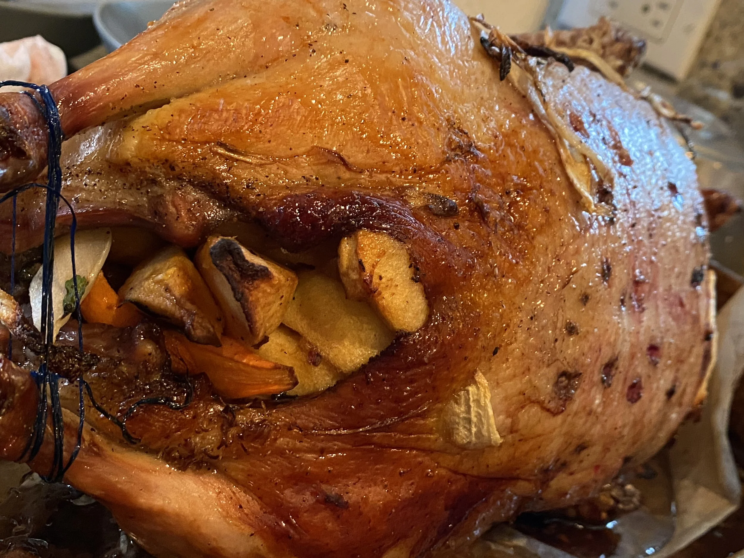 NOVEMBER 2021: GOT DUCK?