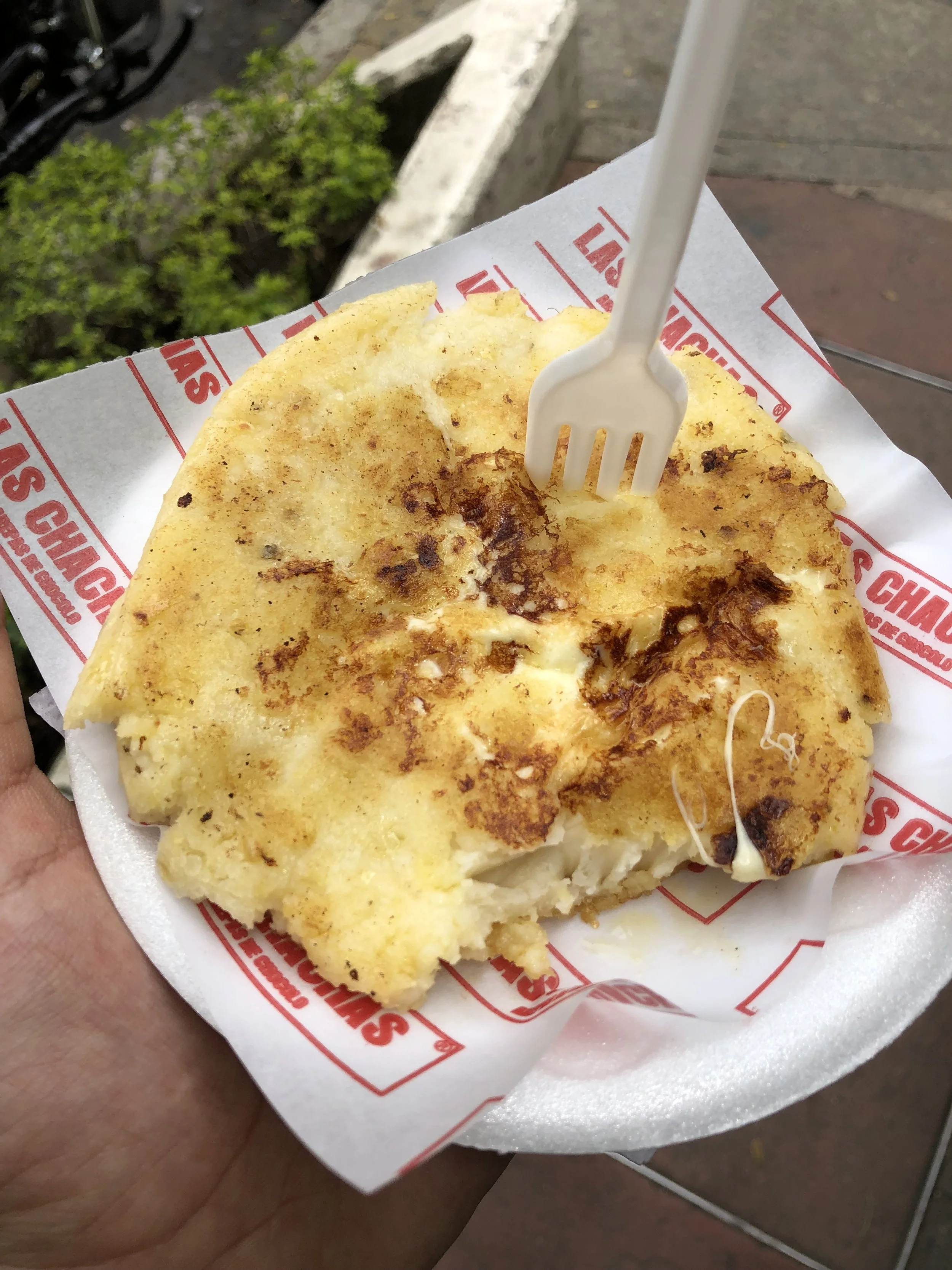 MARCH 2022: SUNNY SIDE UP