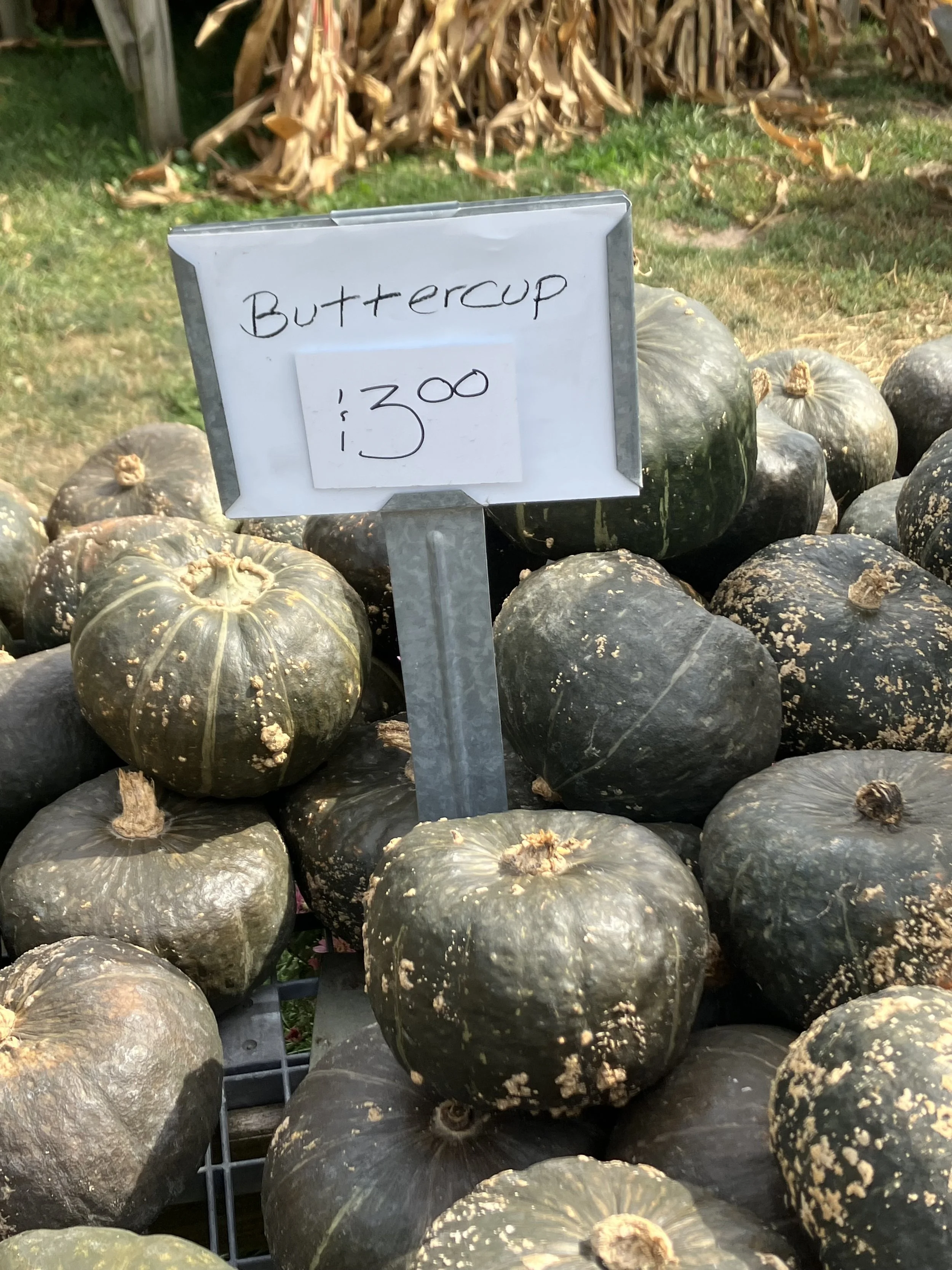 SEPTEMBER 2022: DOUBLE BUBBLE