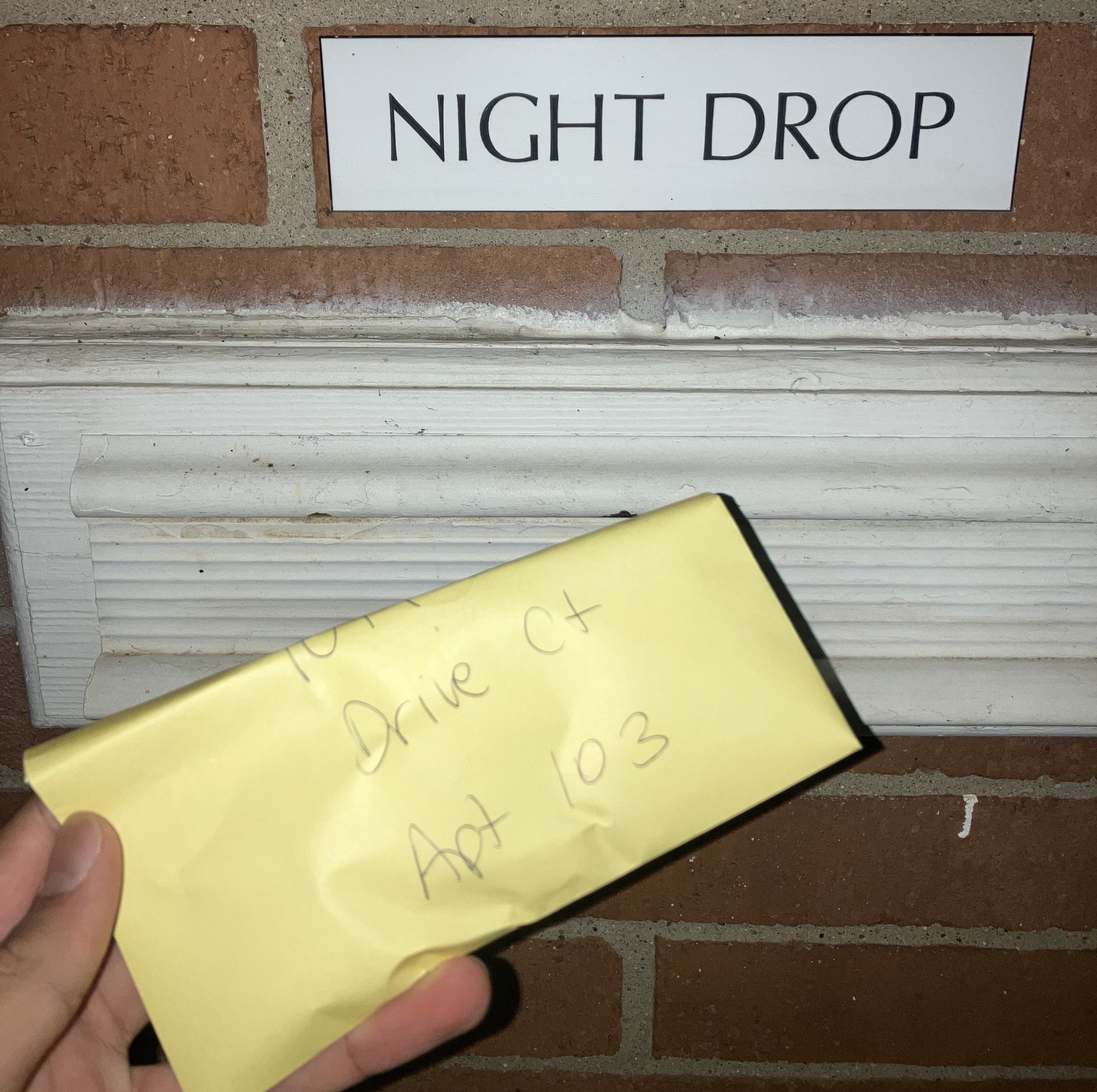 SEPTEMBER 2023: CARROT FLOWERS