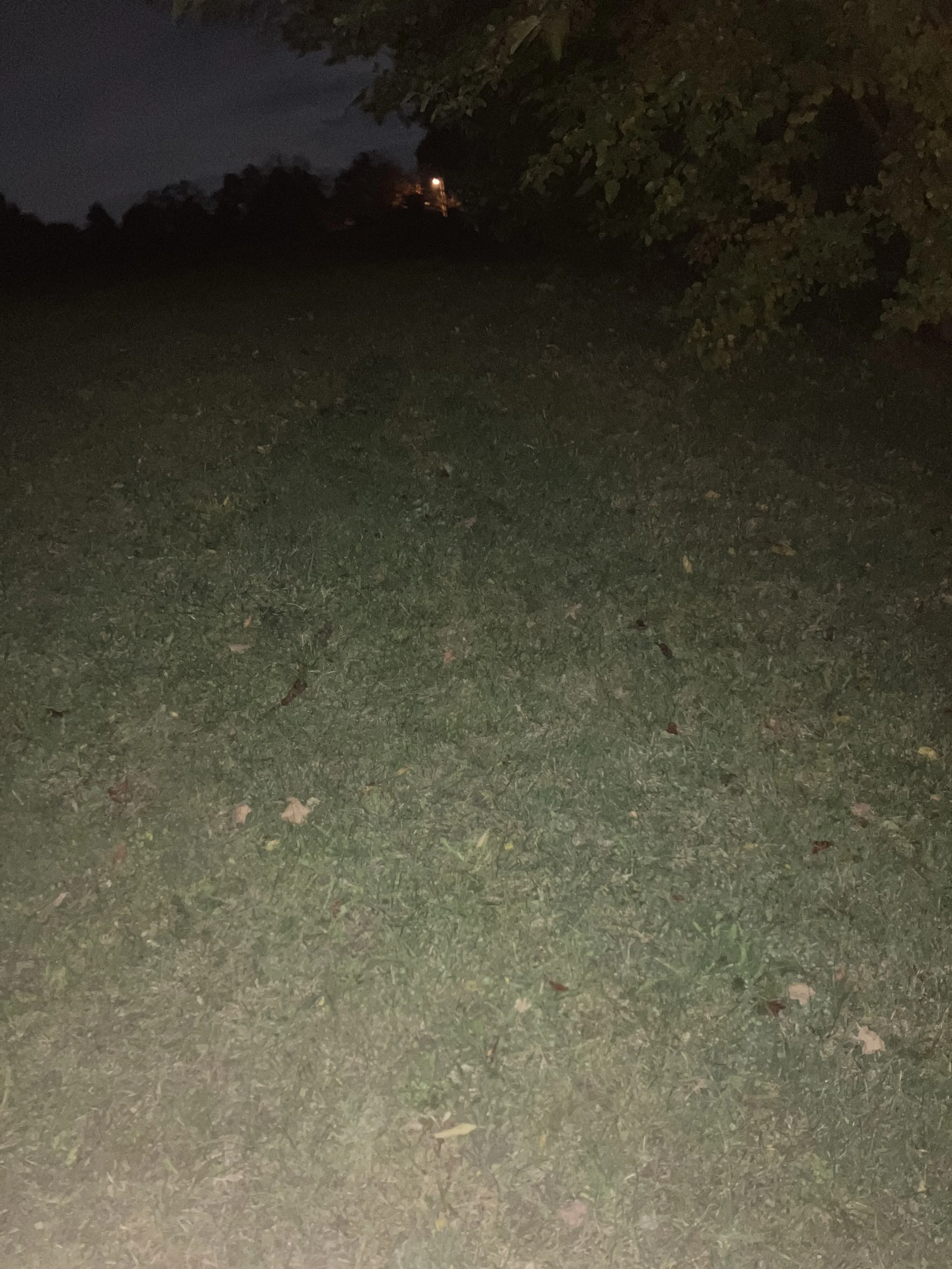 OCTOBER 2023: YEARNING