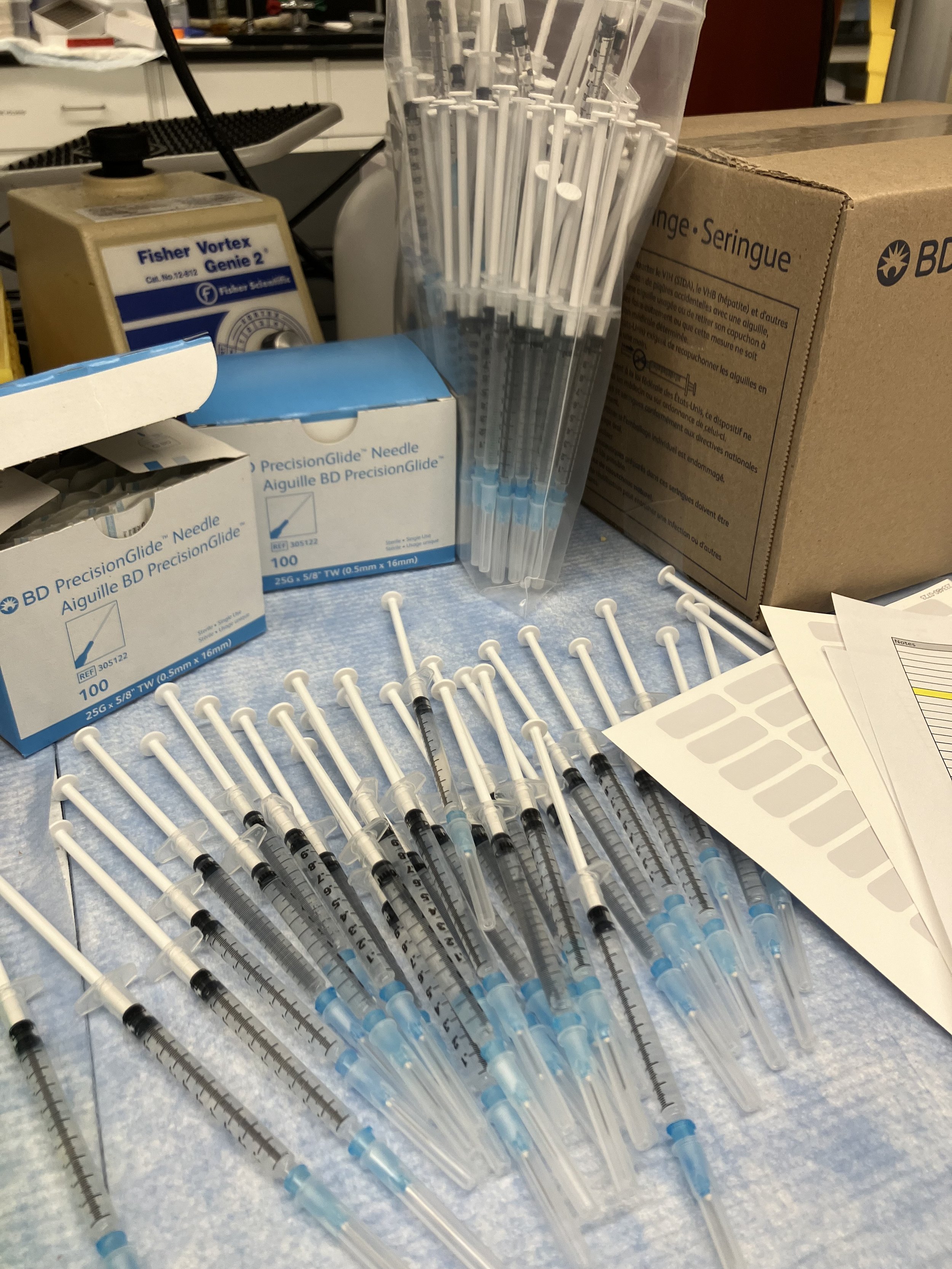 JANUARY 2024: UPSTAIRS