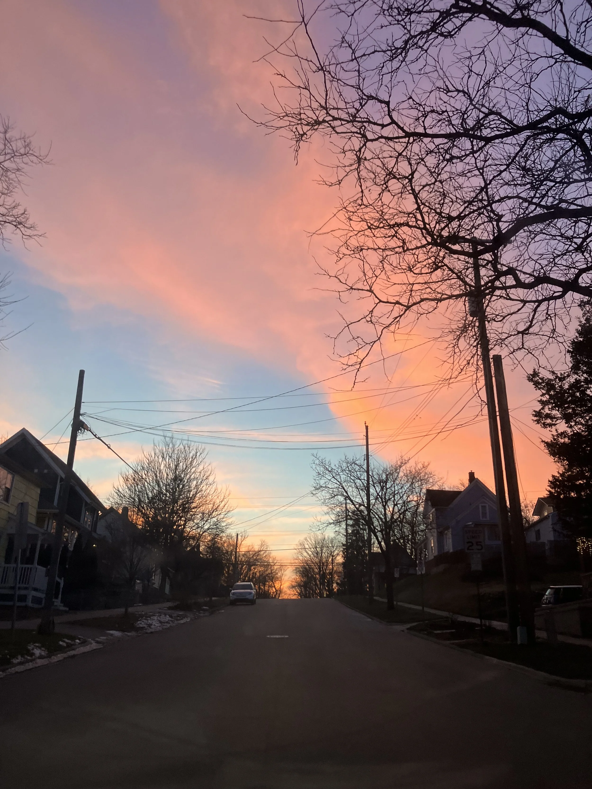 FEBRUARY 2024: MUG WALL
