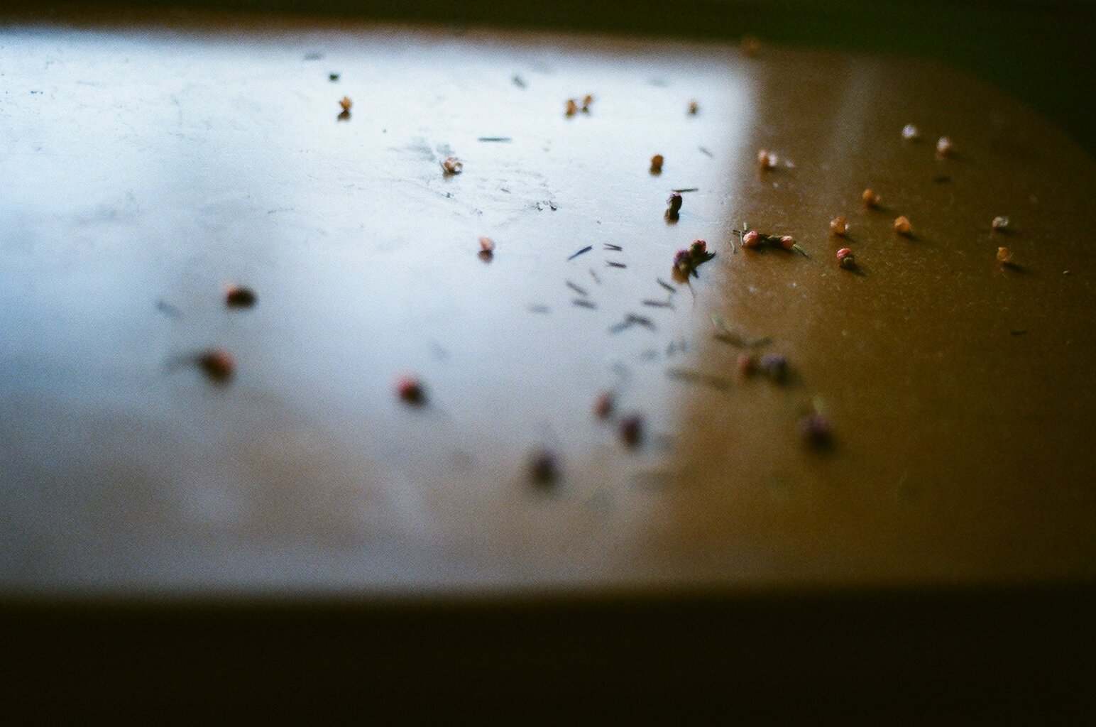 92480015.JPG