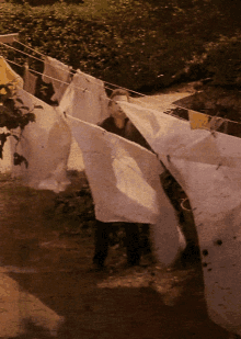 Bonus: Halloween (1978)