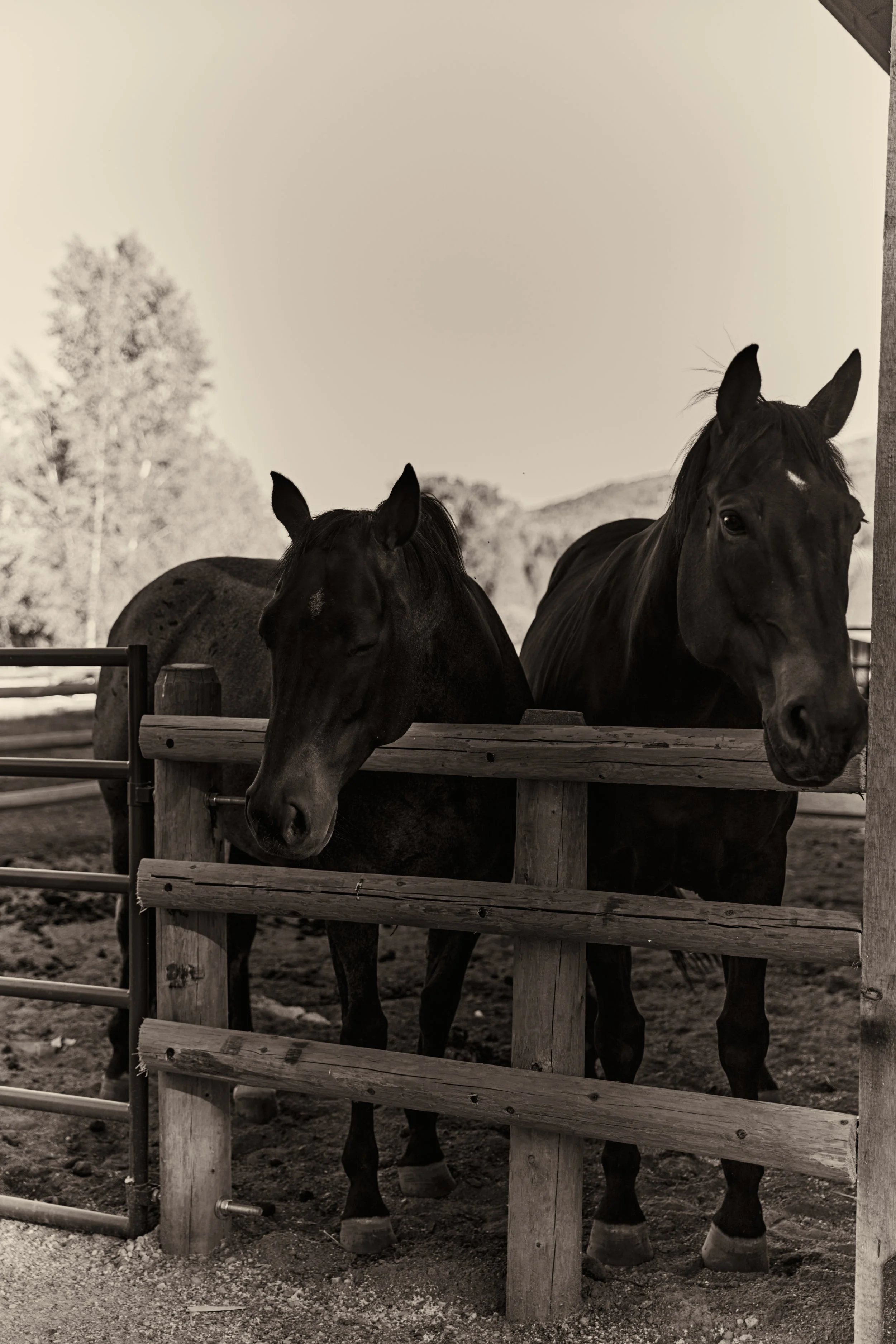 WY_0935.jpg