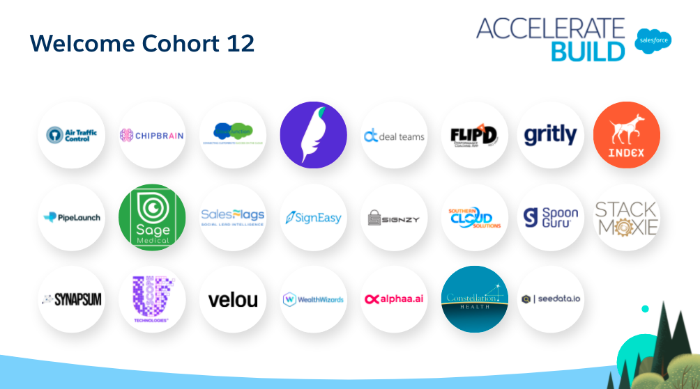 synapsum selected as a salesforce accelerate participant