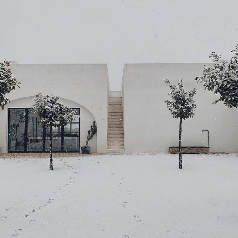 Wherever you are this year or wherever you wished you were. Merry Christmas. 🥂🖤
.
.
.
#italy #italianmodernism #italiancharm #villa #italianvilla #villalife #olivetree #whenwetravelagain #christmasday #christmas #christmasdecor #whitechristmas #min